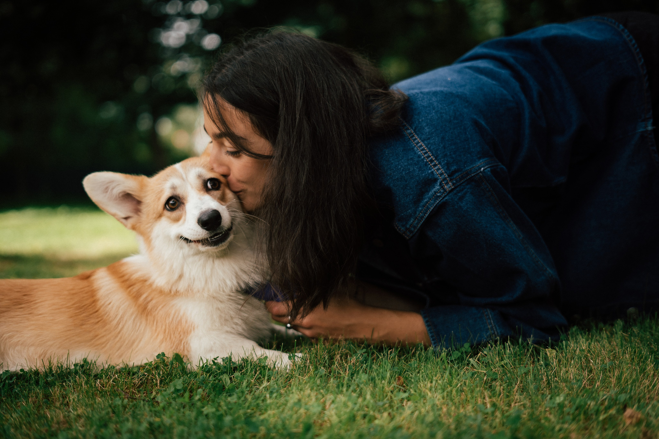 Фотосессия с собакой сахалин. Фотограф сахалин