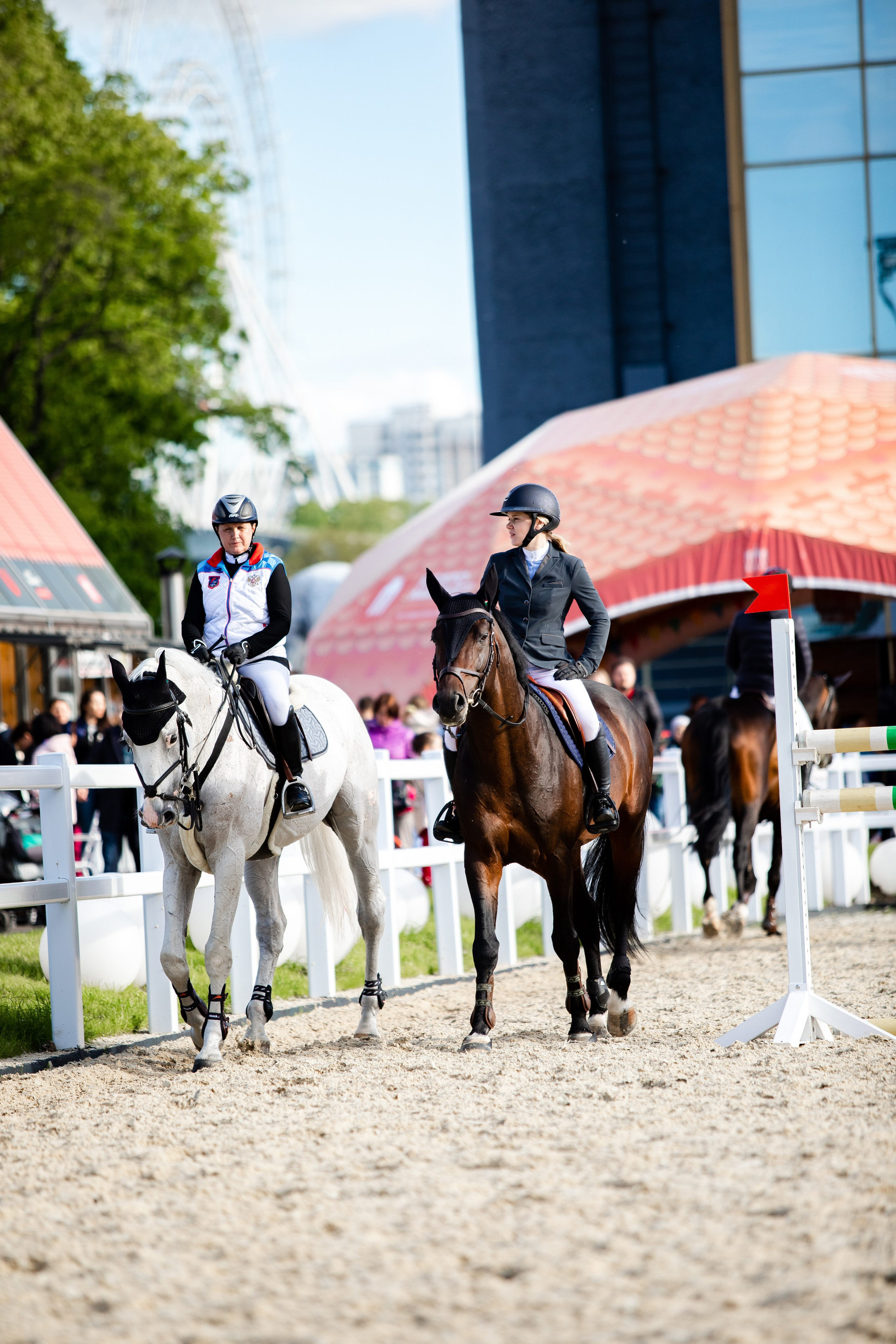 Турниры. Veronika Makeeva horse photo