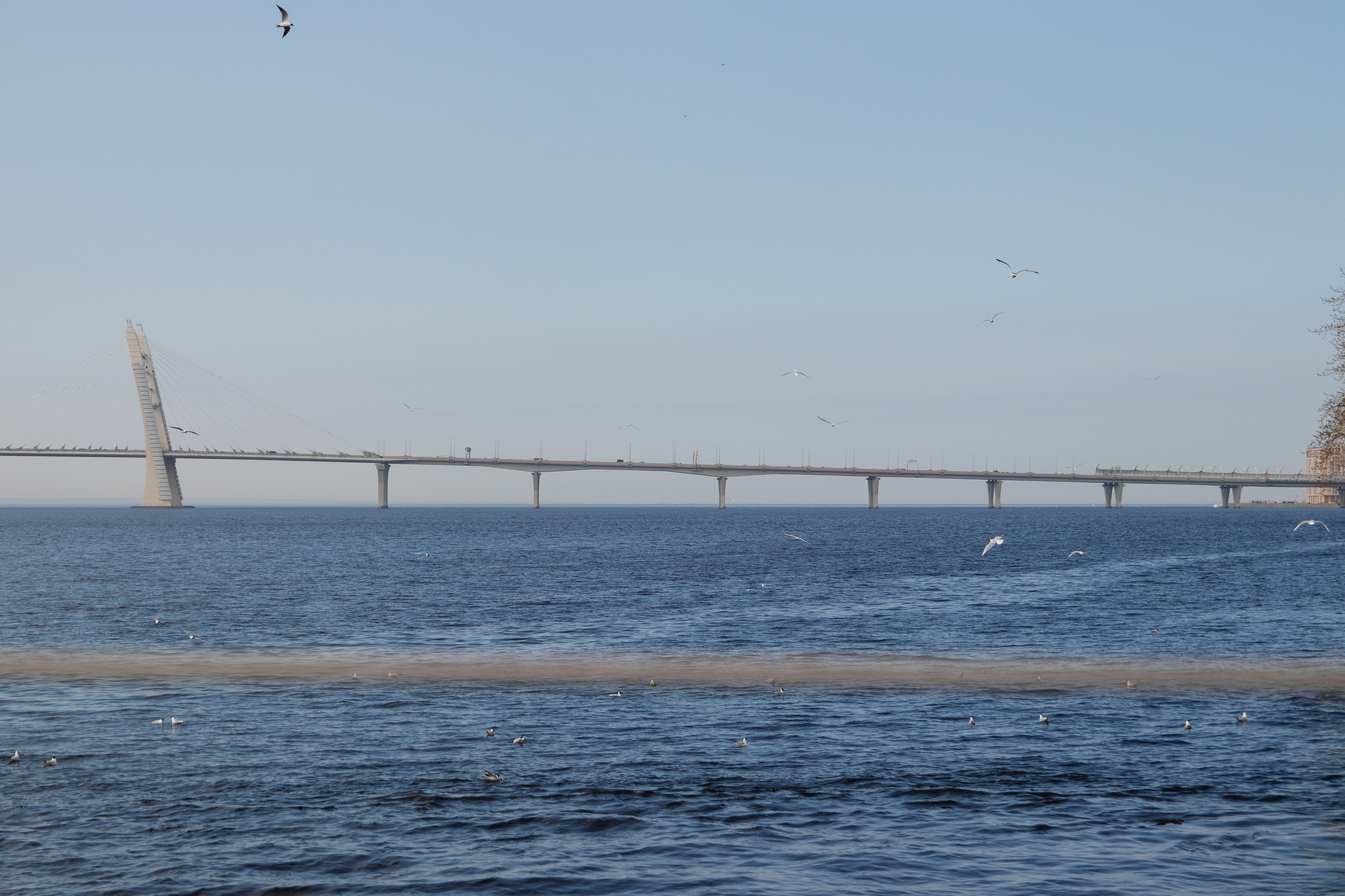 Города. Главная