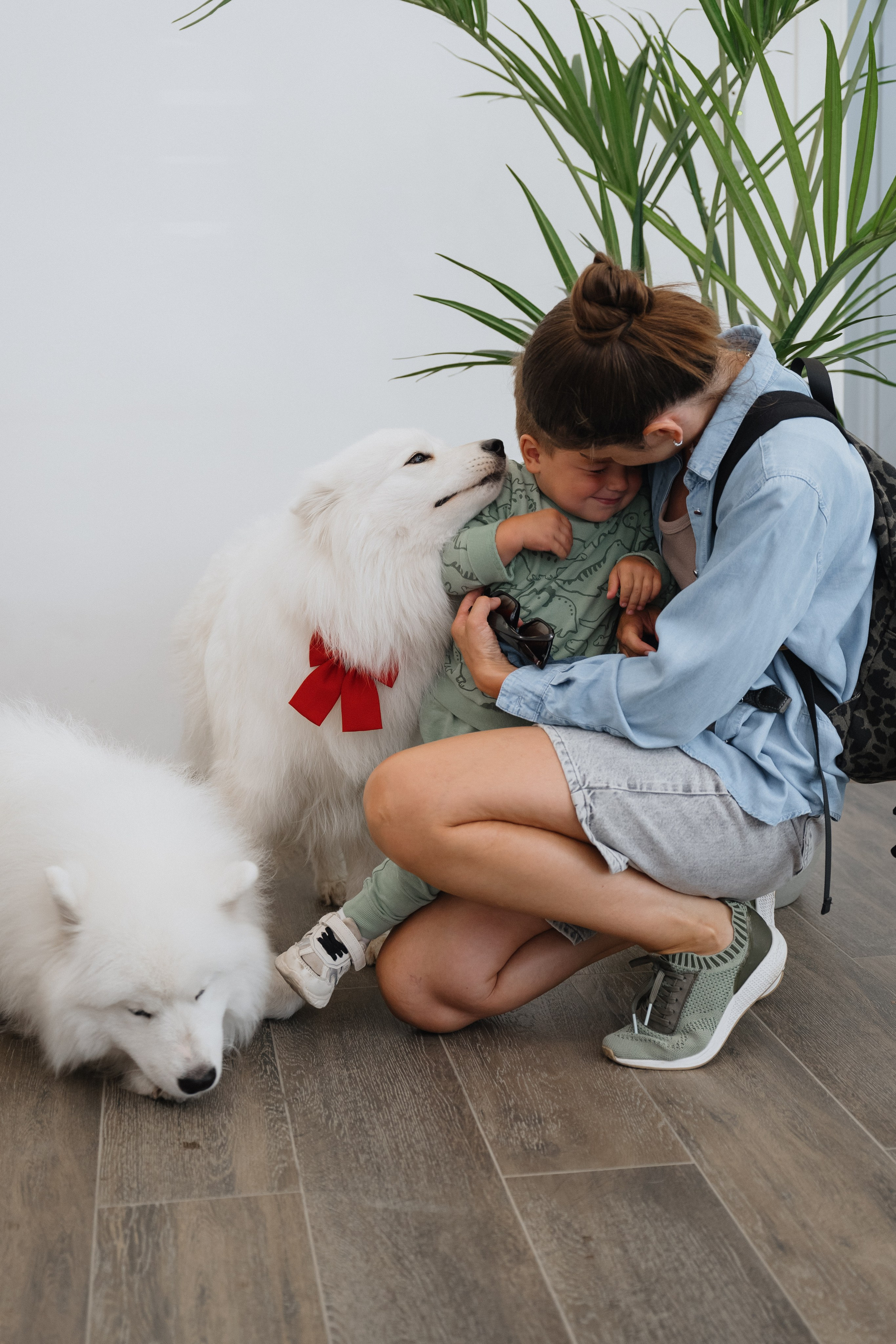 Альфа банк Карла Маркса 55. Фотограф Кристина Тумаева. Самоед Новосибирск