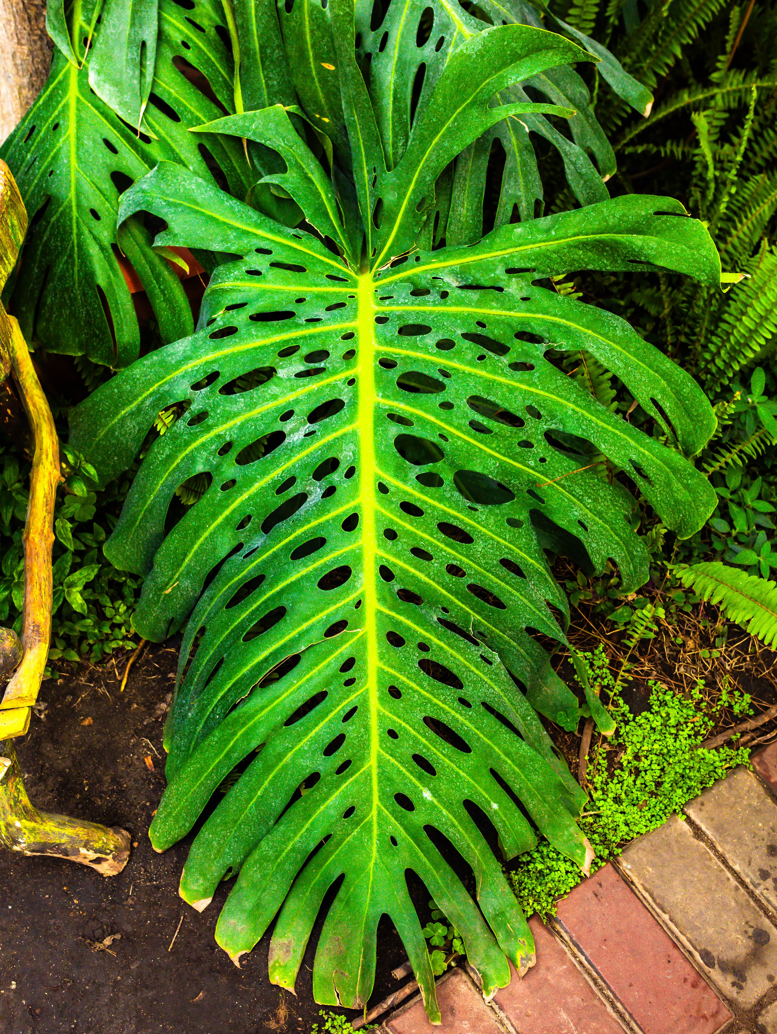 Фотографии природы Липецка. Свадебный и семейный фотограф Виолетта в Липецке