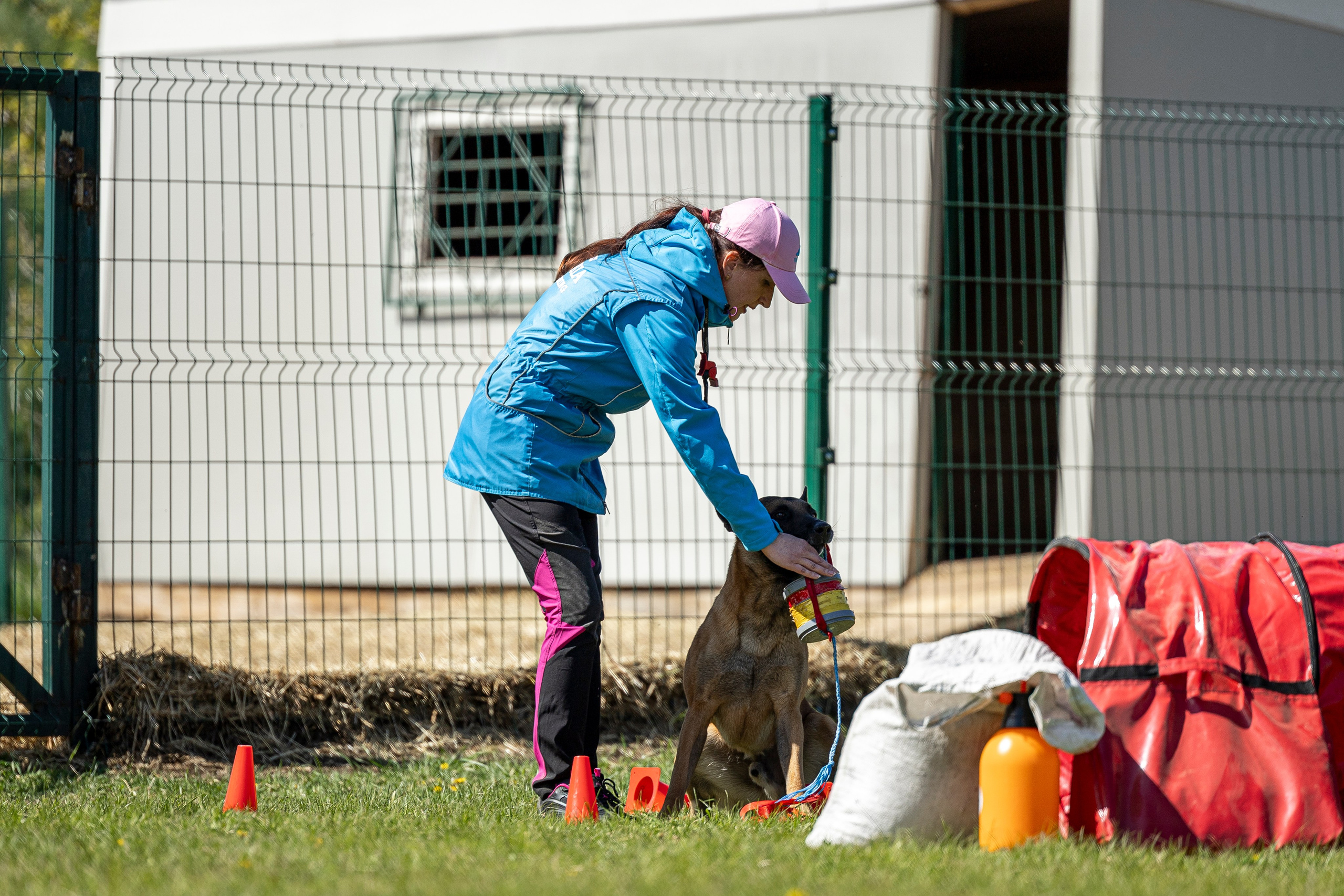 Испытания по мондьорингу в Нижнем Новгороде. Фотограф-анималист Анна Маринич