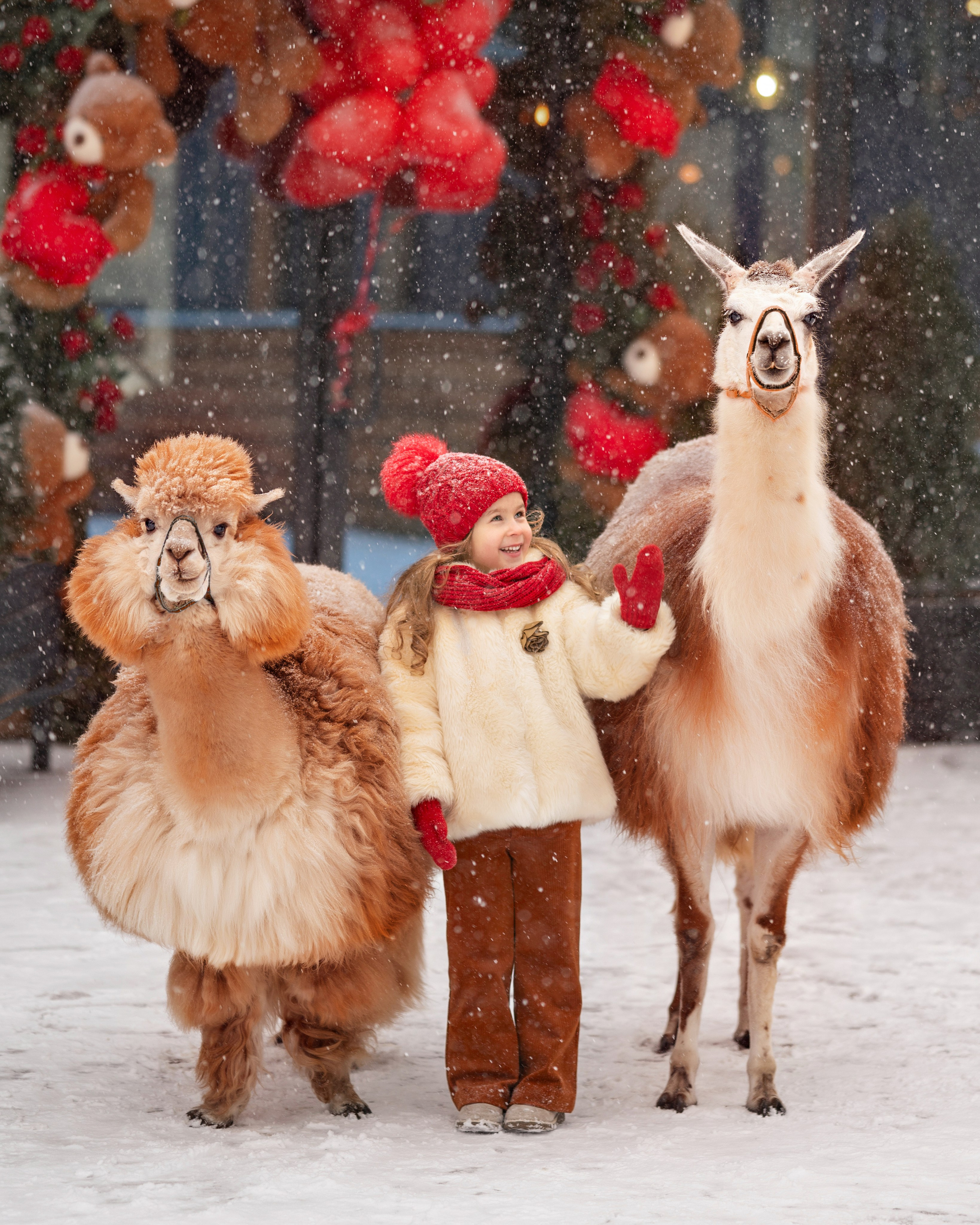 Фотосессия с альпаками в  YOO студии. Детский и семейный фотограф г. Москва Оксана Катаджи
