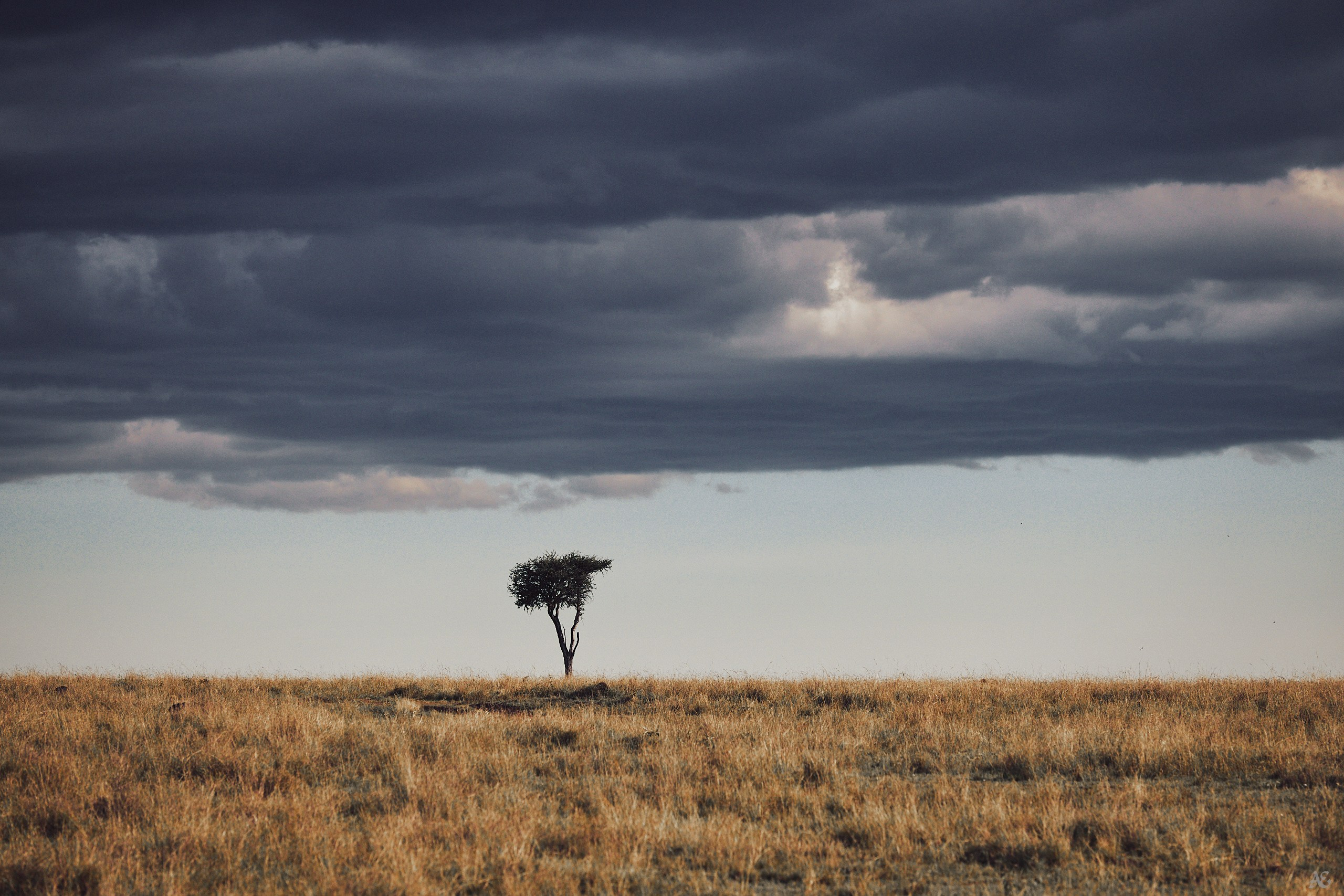 Силы природы