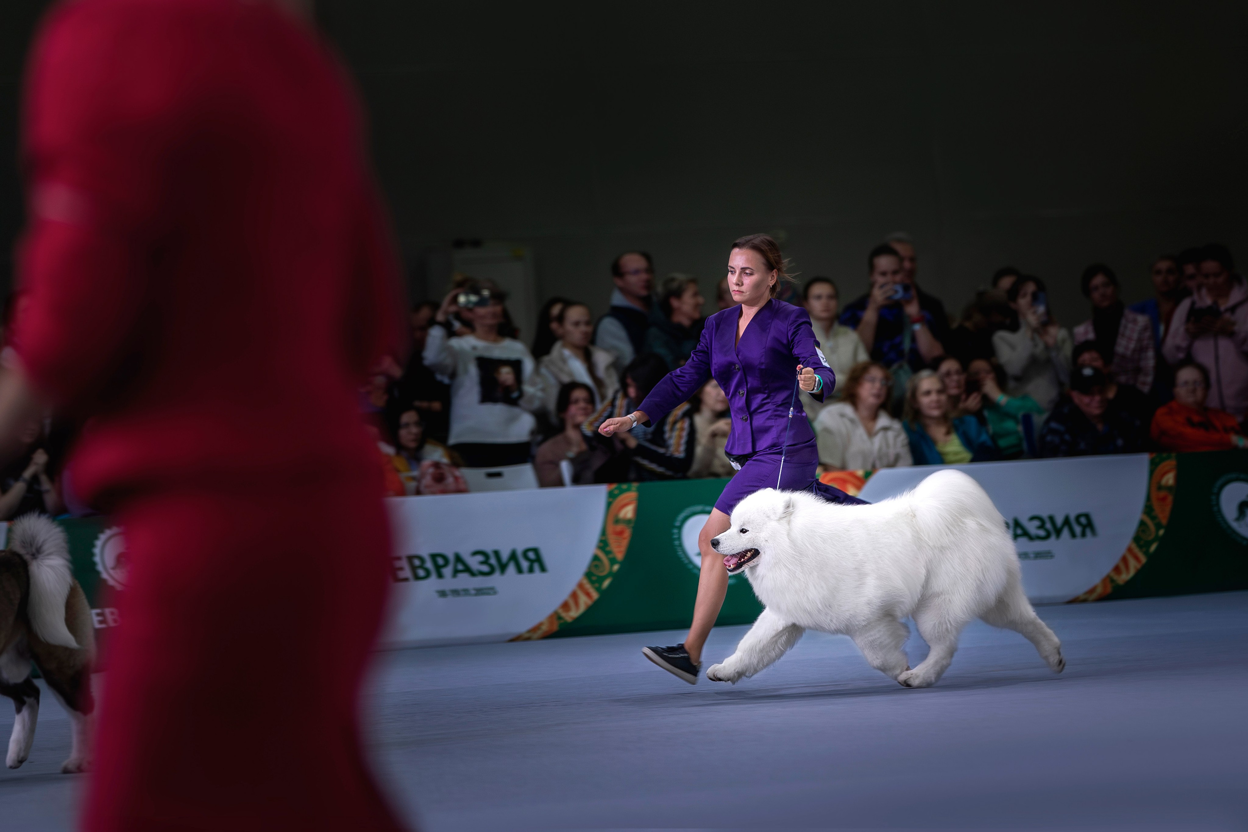 Евразия 2023. Фотограф анималист в Москве Майорова Евгения