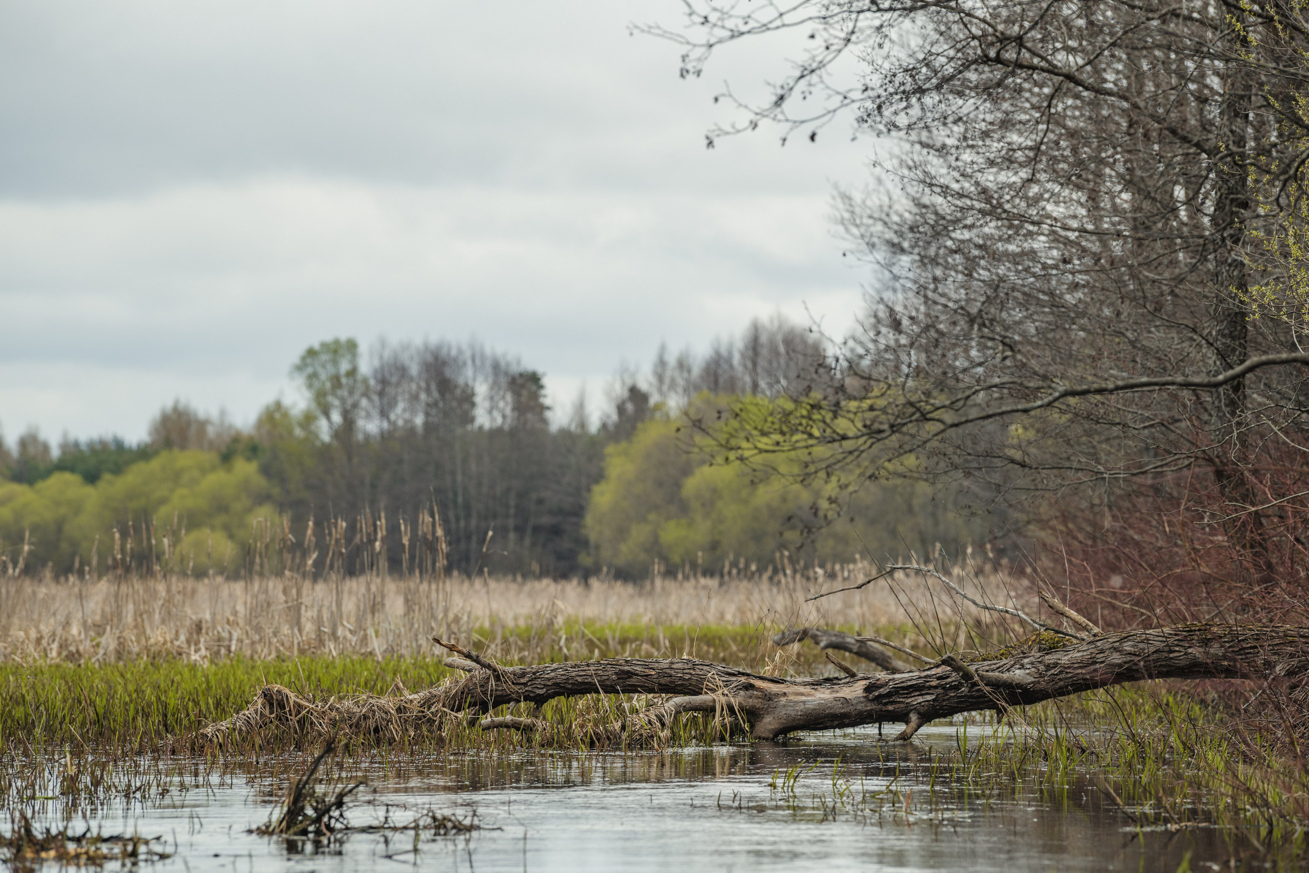 Разведка нового маршрута. Репортажный фотограф Владимир Беляй