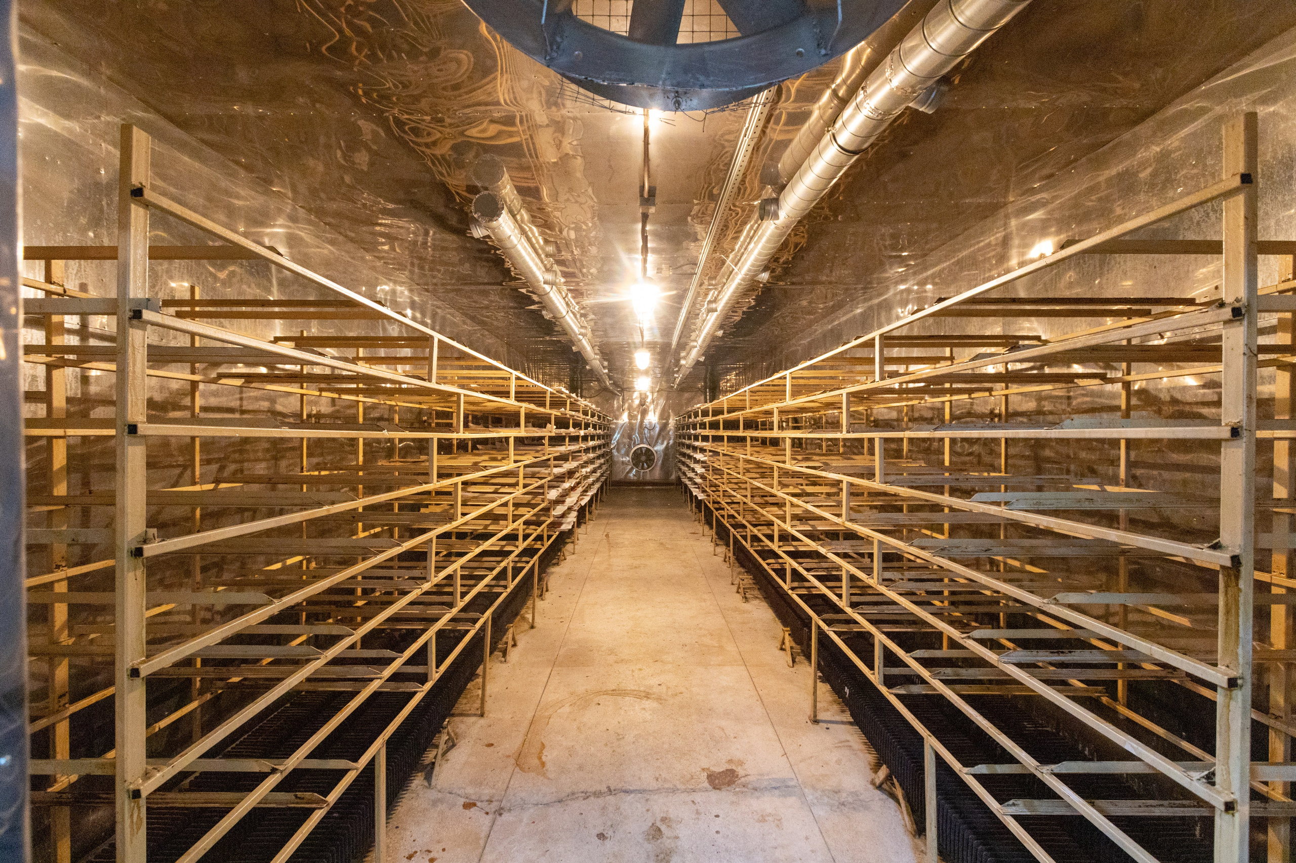 Поездка в Белев и на производство пастилы. Фотограф в Туле Крупский АнДРей. Фотостудия «КАДР71» в Туле
