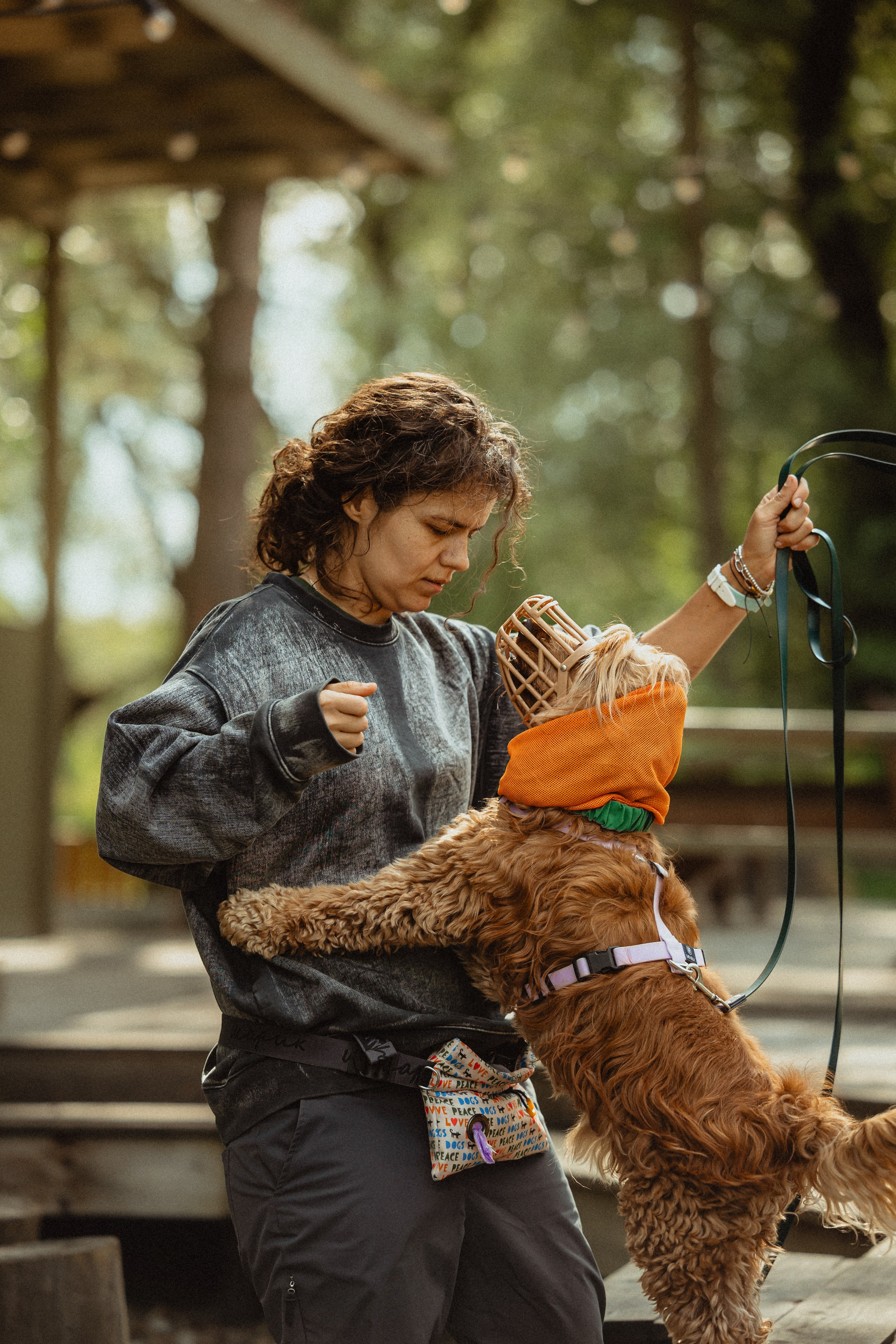 Выездной дог-тренинг от школы «Шерсть имею»