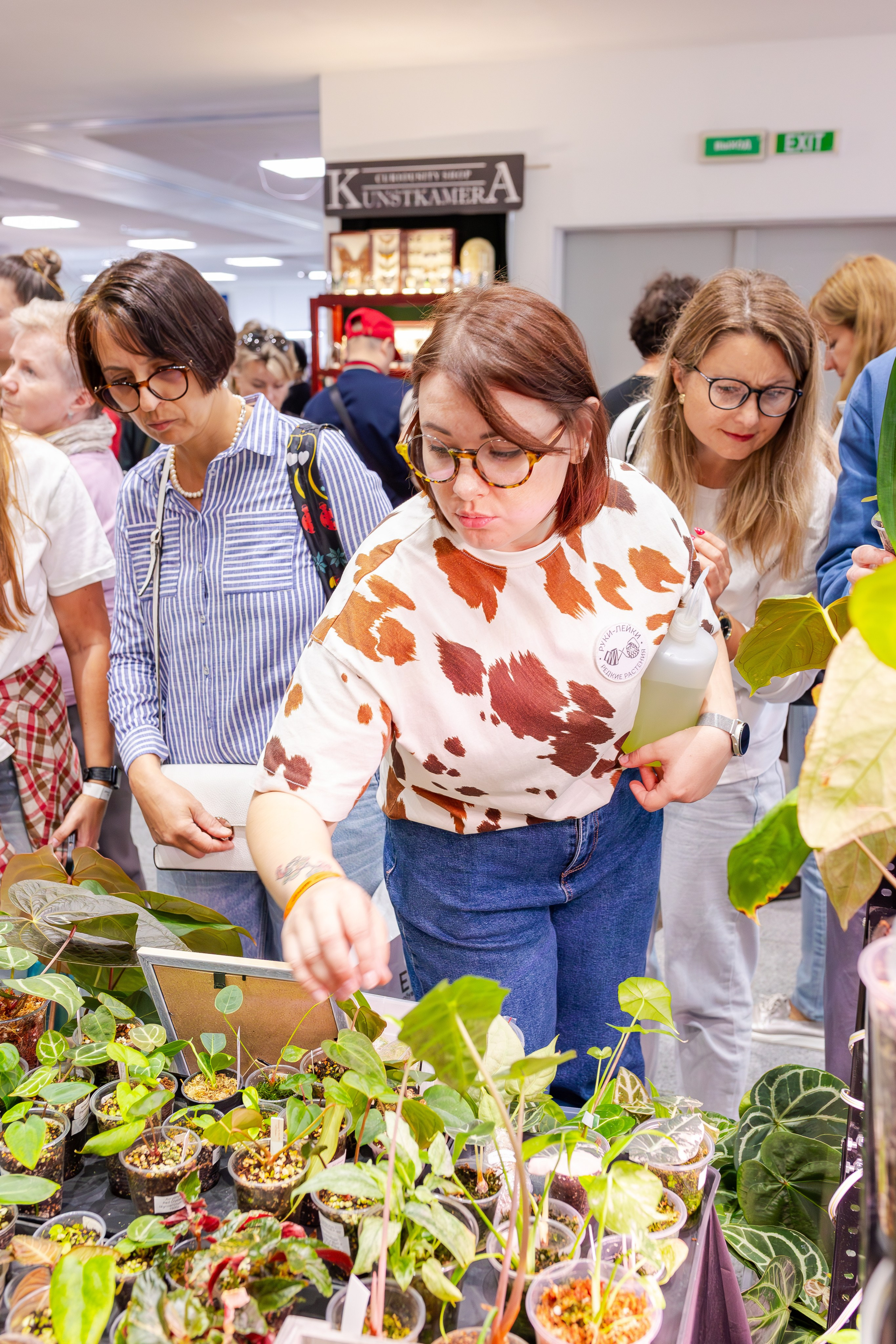 Орхидиум сентябрь 2025. Александра Куликова фотограф, Москва