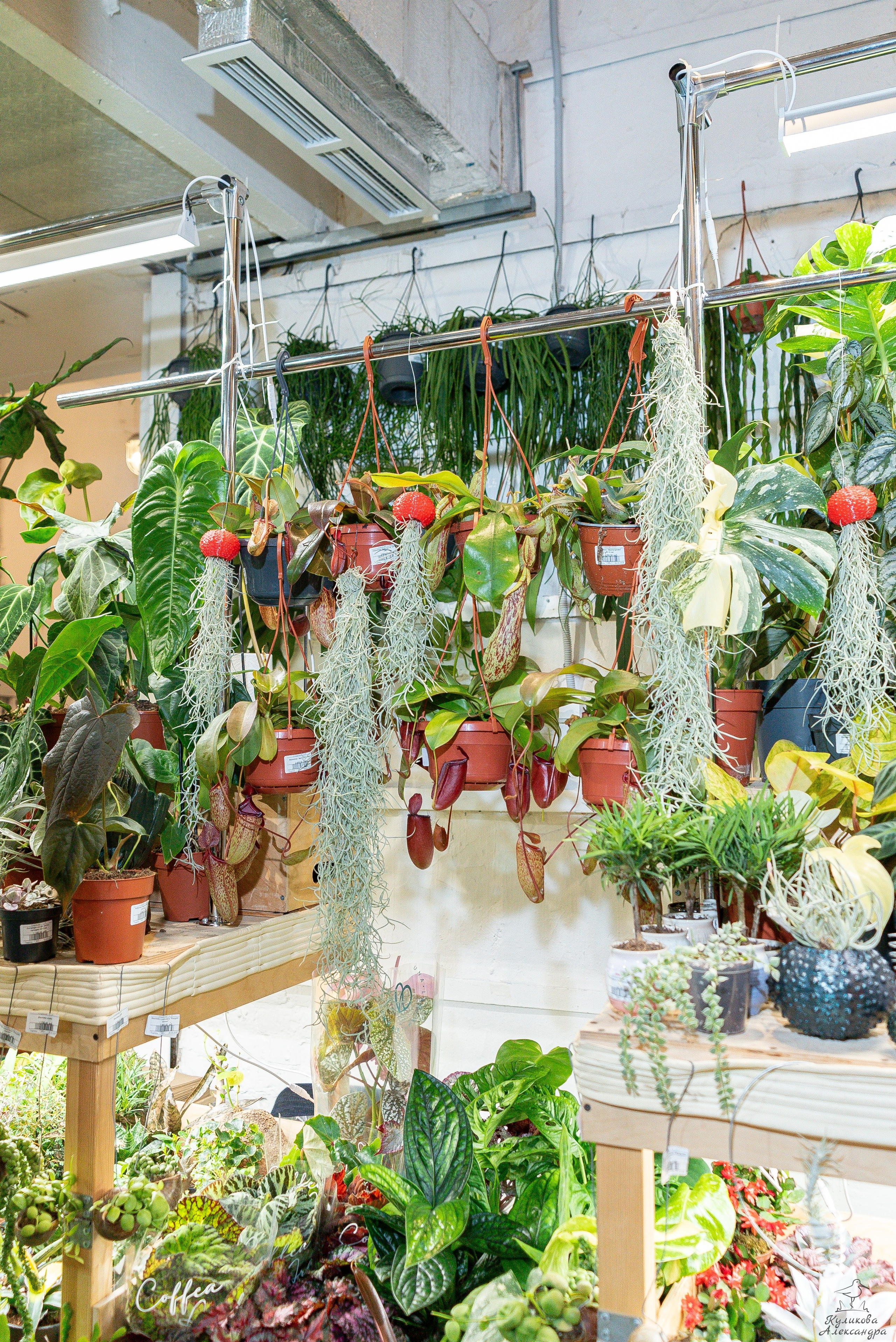 Гроубокс Артплей апрель. Александра Куликова фотограф, Москва