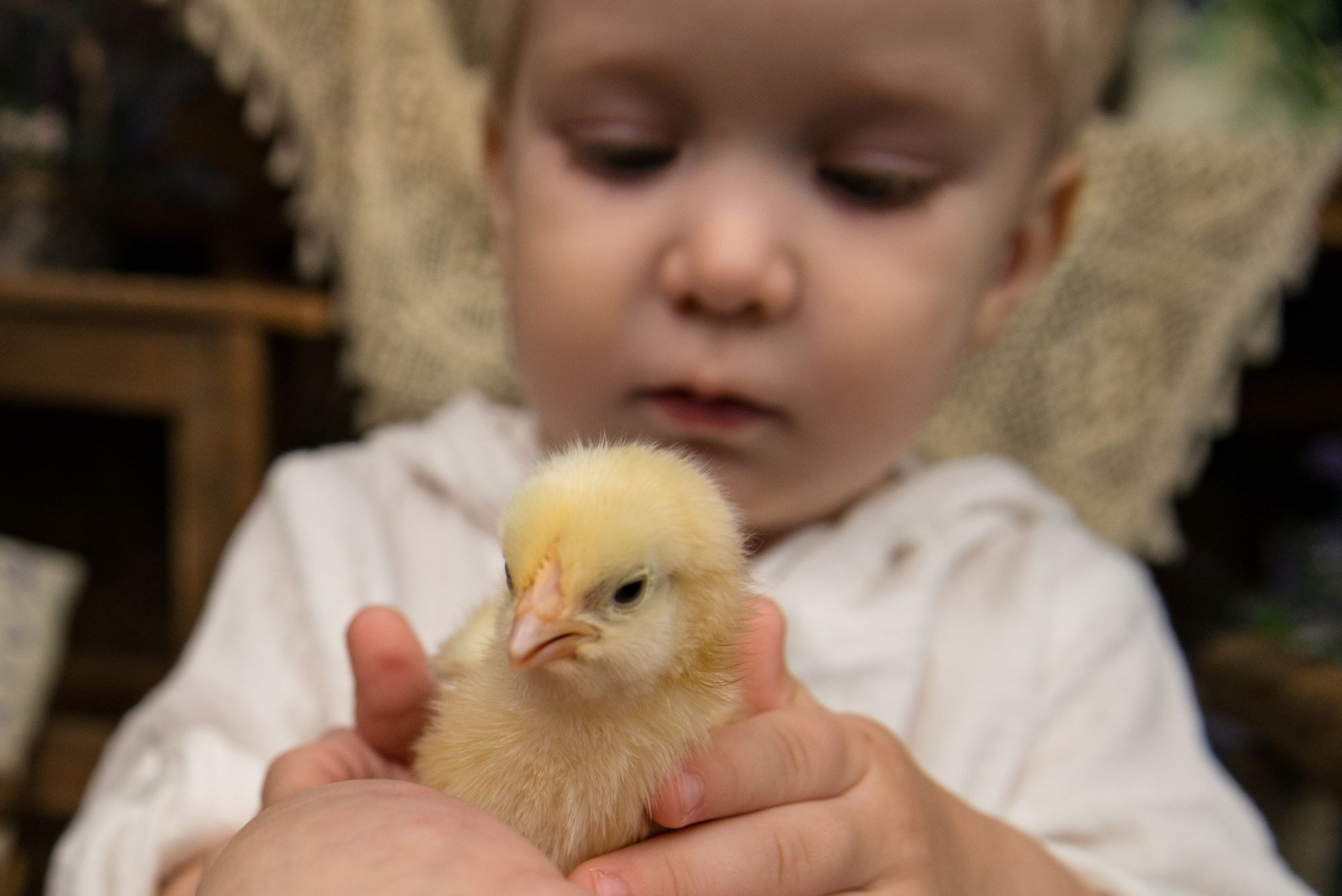 Пасхальные фотодни. Фотограф и дизайнер в Москве Екатерина Лобачева