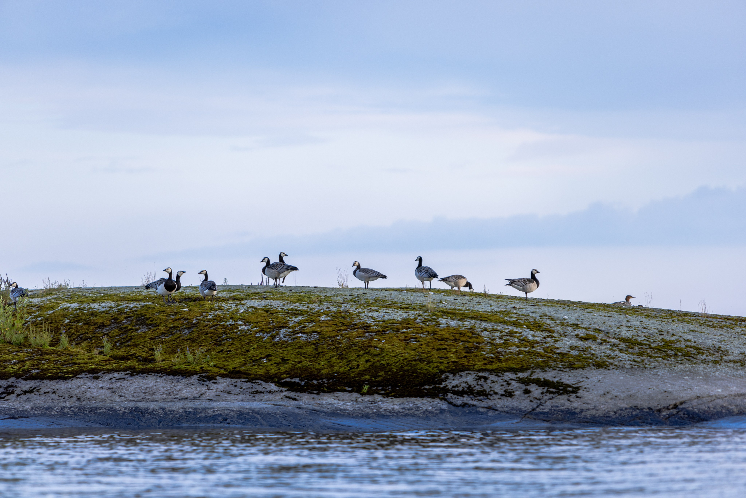 Ладога. Автомобильная фотография в Санкт-Петербурге