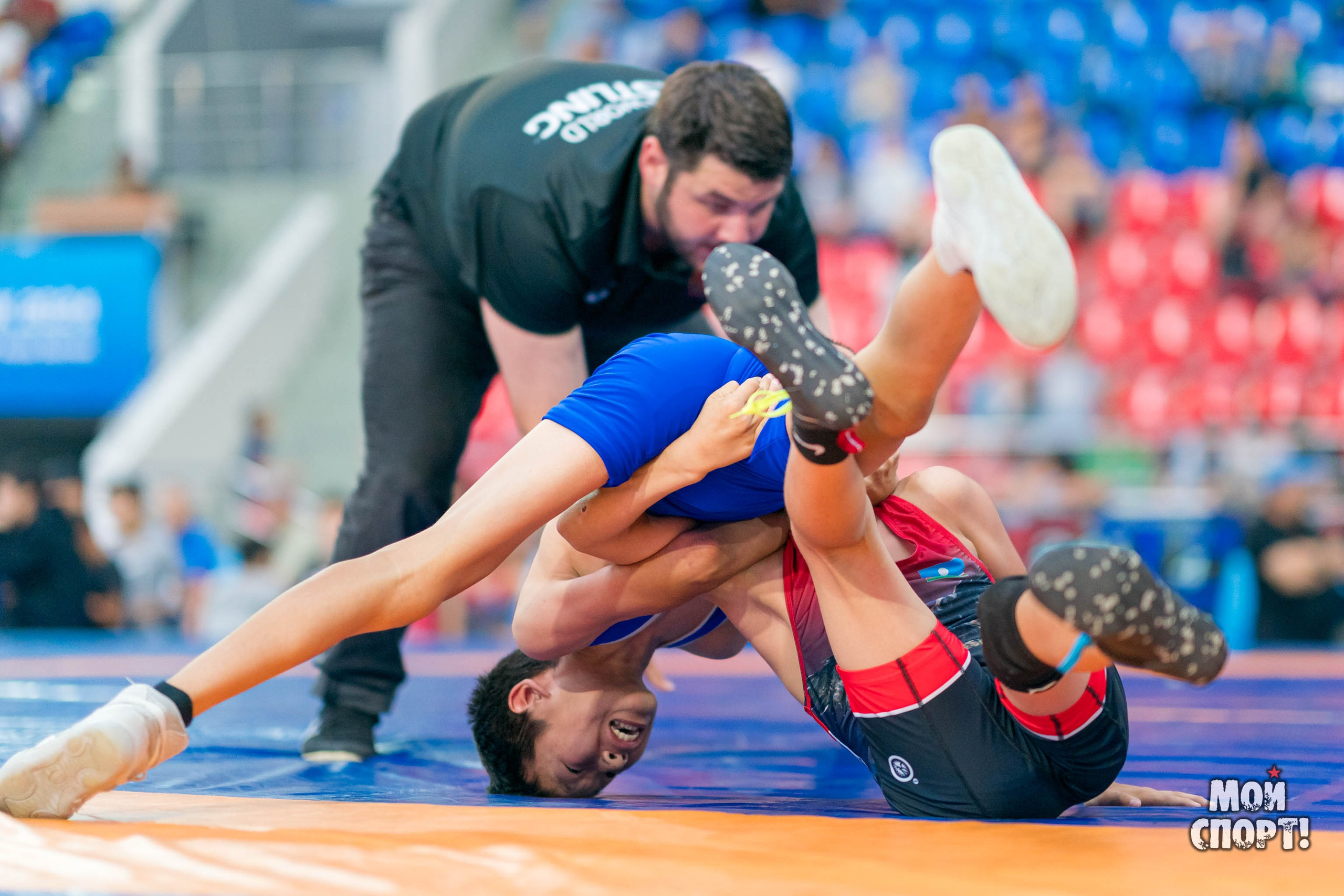 Соревнования по вольной борьбе в честь П. П. Пинигина. Студия «Мой Спорт!» — все о спорте в Якутии