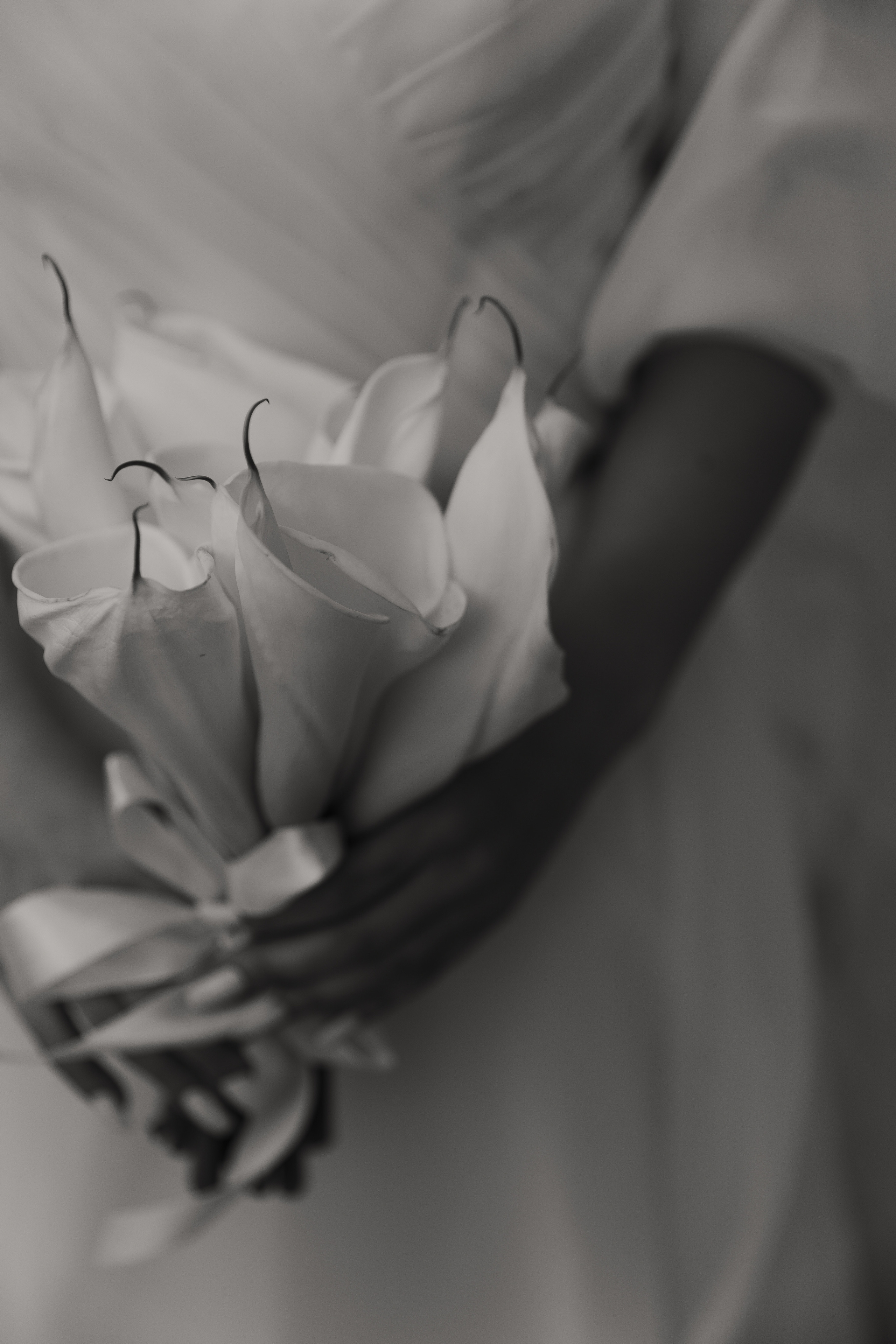 Свадебная фотосессия молодоженов в Самара. Свадебный и семейный фотограф в Самаре и Тольятти | Елена Топанцева