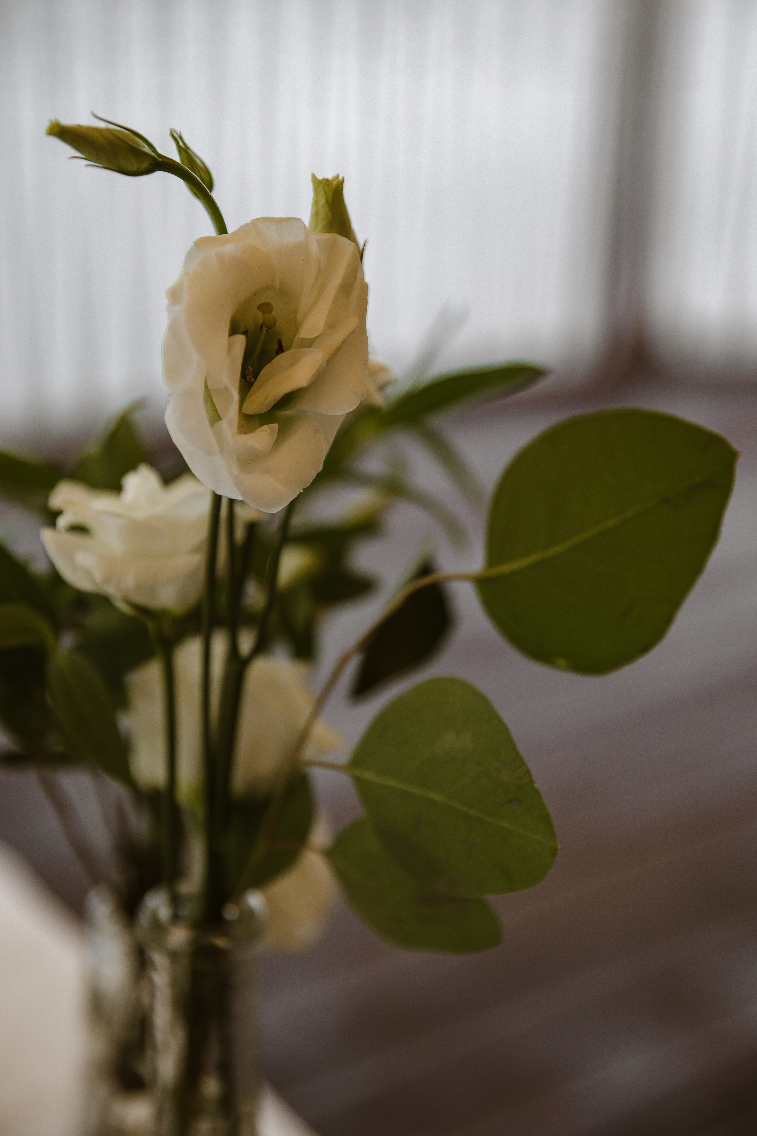 Свадебная фотосессия в Тольятти для Валерии и Дениса. Свадебный и семейный фотограф в Самаре и Тольятти | Елена Топанцева