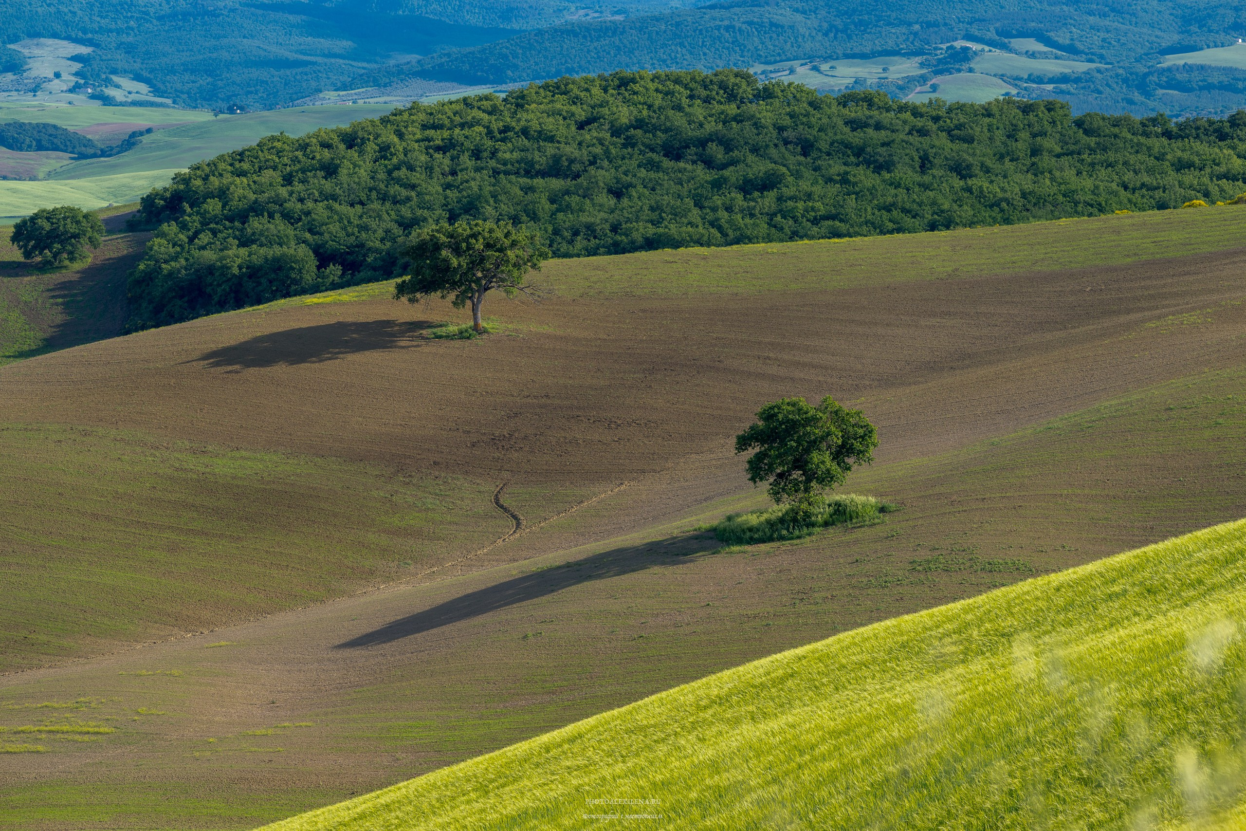 Долина Валь д’Орча-сердце Тосканы. Авторские стильные фотокартины