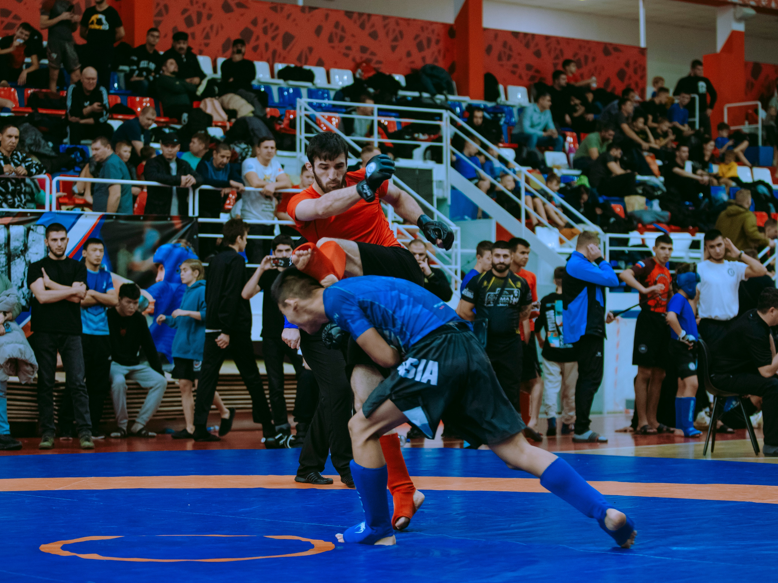 Кубок России по спортивной борьбе панкратион `23. Портретный фотограф в Москве Дарья Цезария