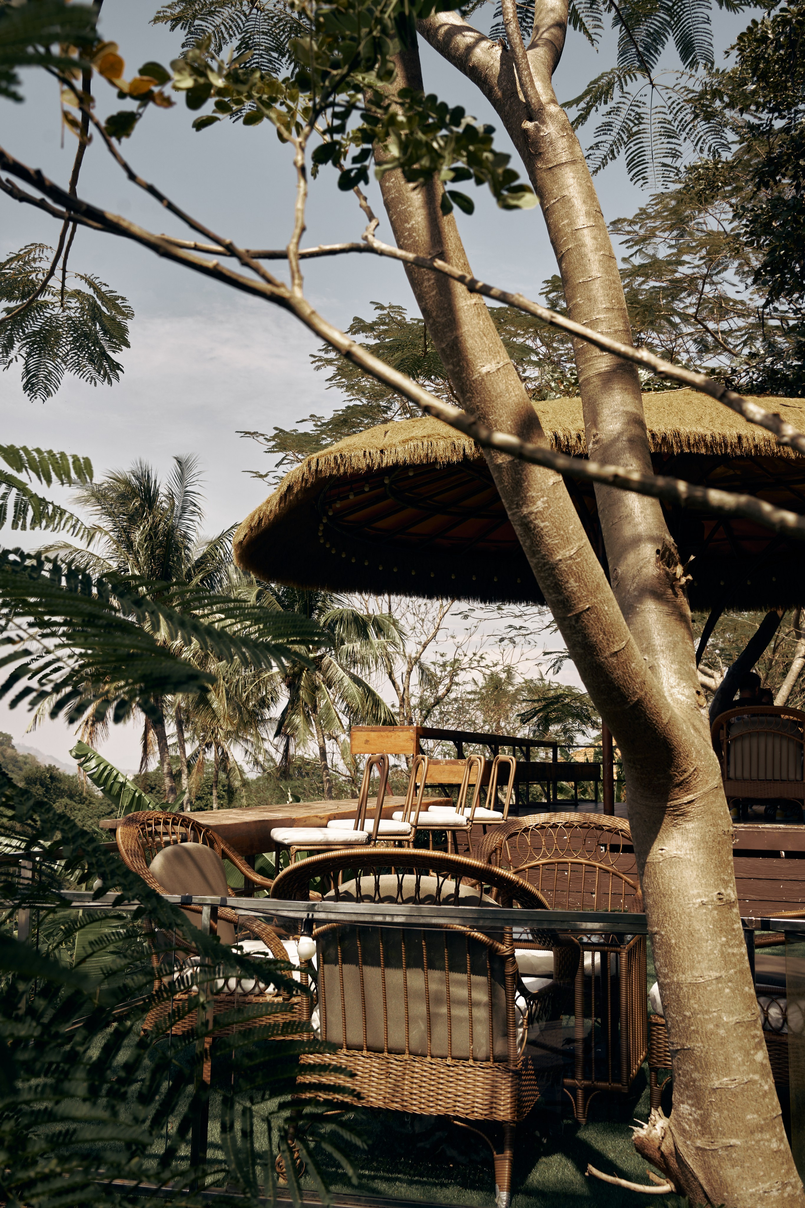 Jungle Farm. Mayskaya photography