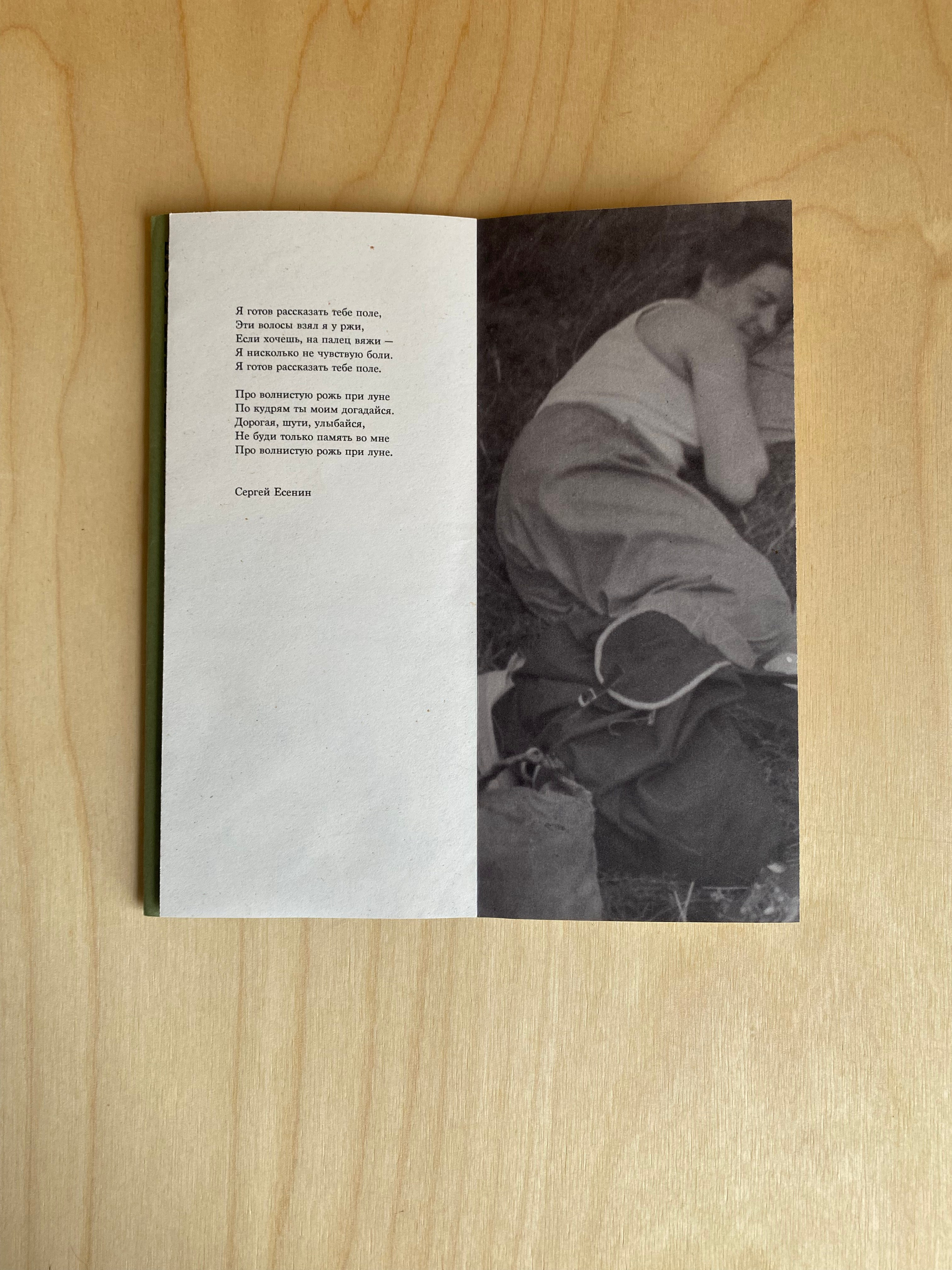 Как сделать книгу-лепорелло в домашних условиях: 2 проверенных способа. Самоорганизация Низина