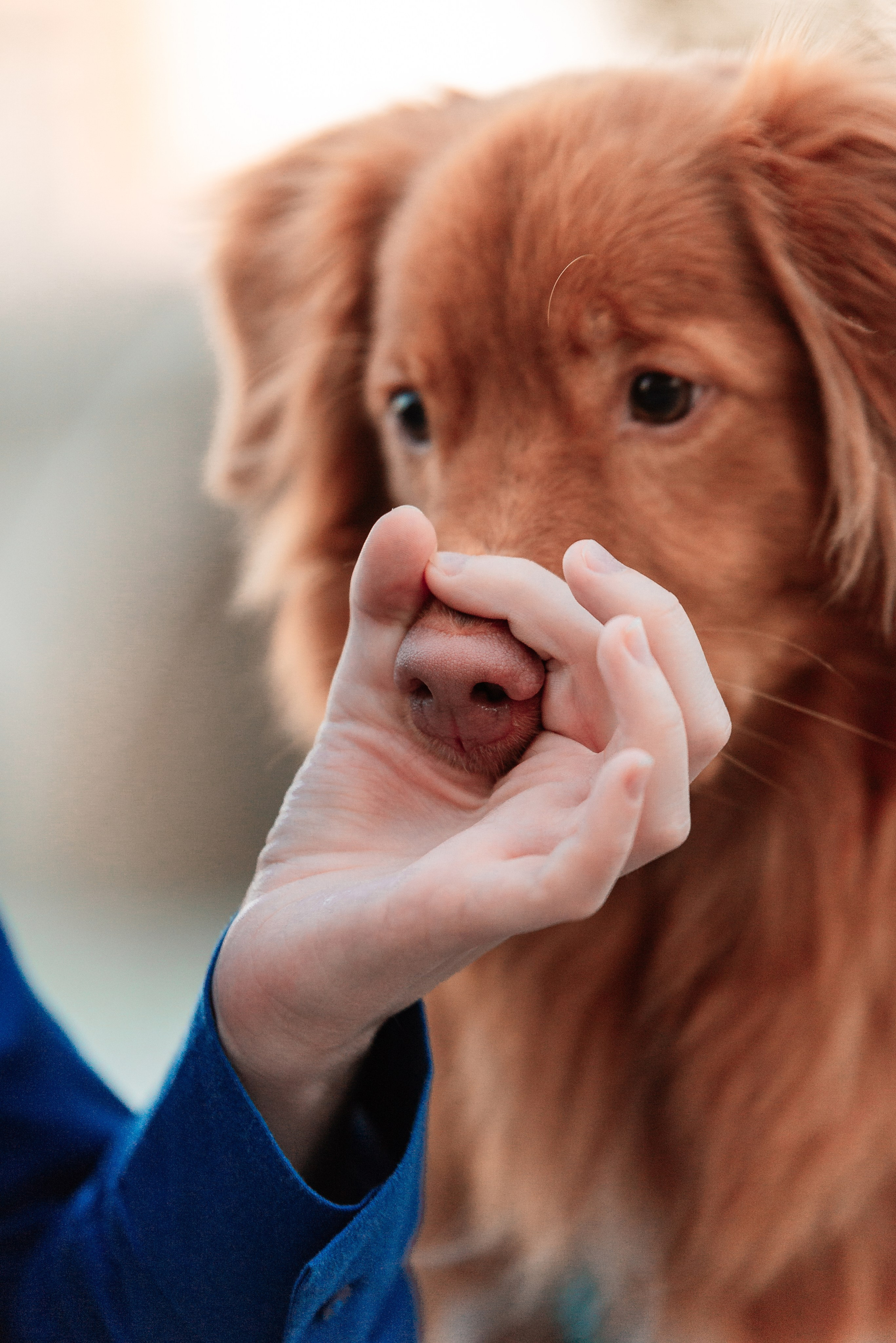 Таня и Лео. Фотограф-анималист Анастасия Парфенова|Екатеринбург