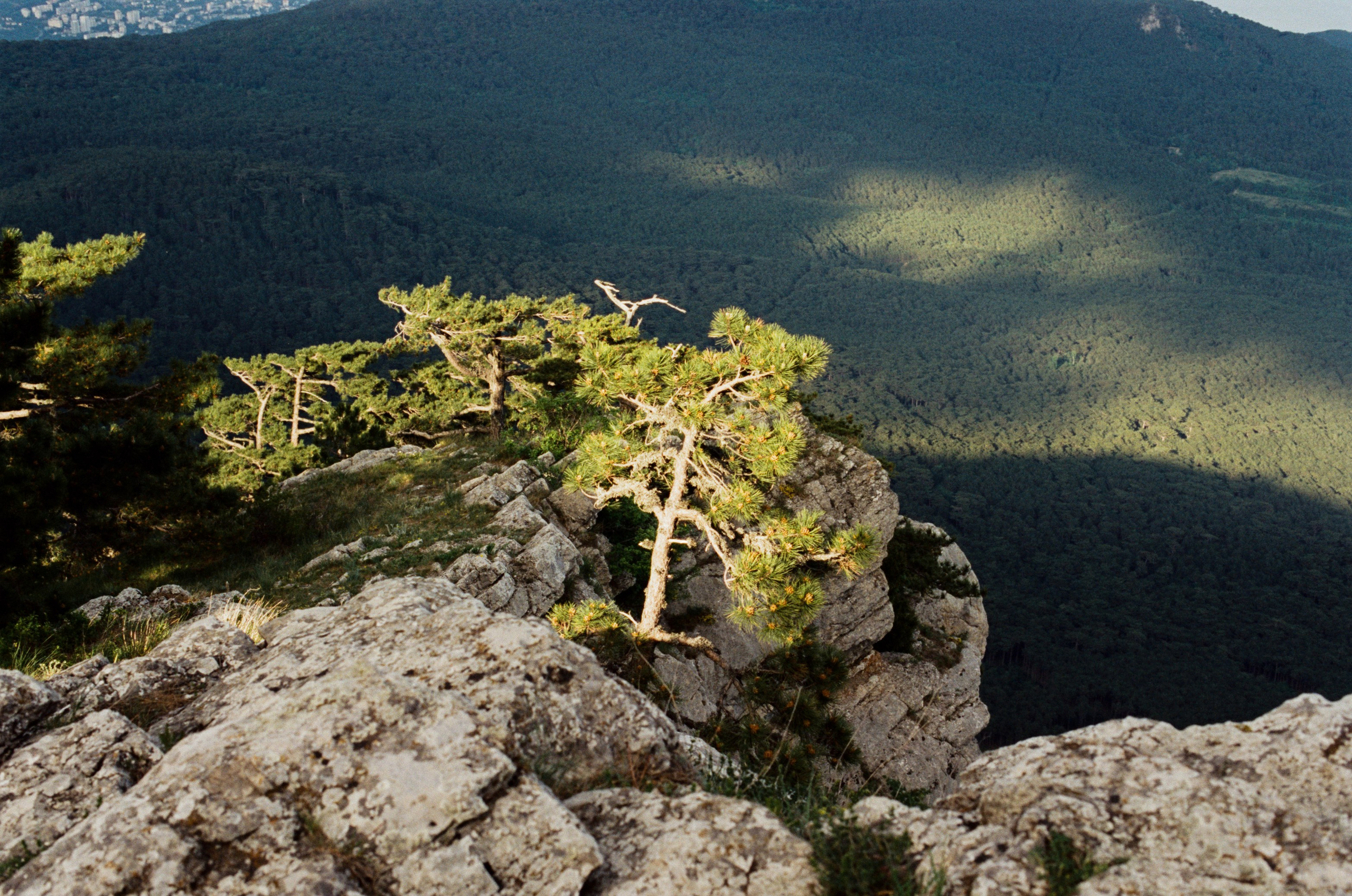 Silver strings // ukraine, crimea VIII. EVER EXPOSED