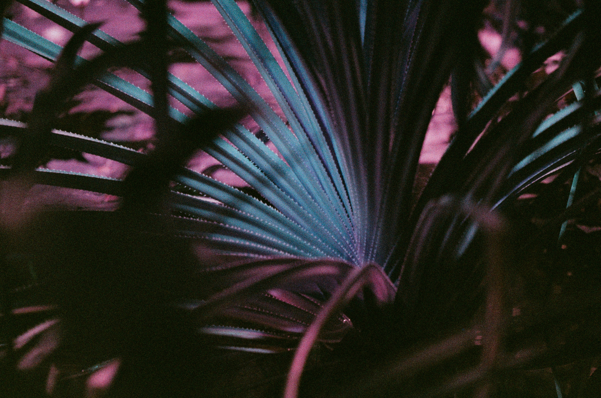 If i get high. EVER EXPOSED