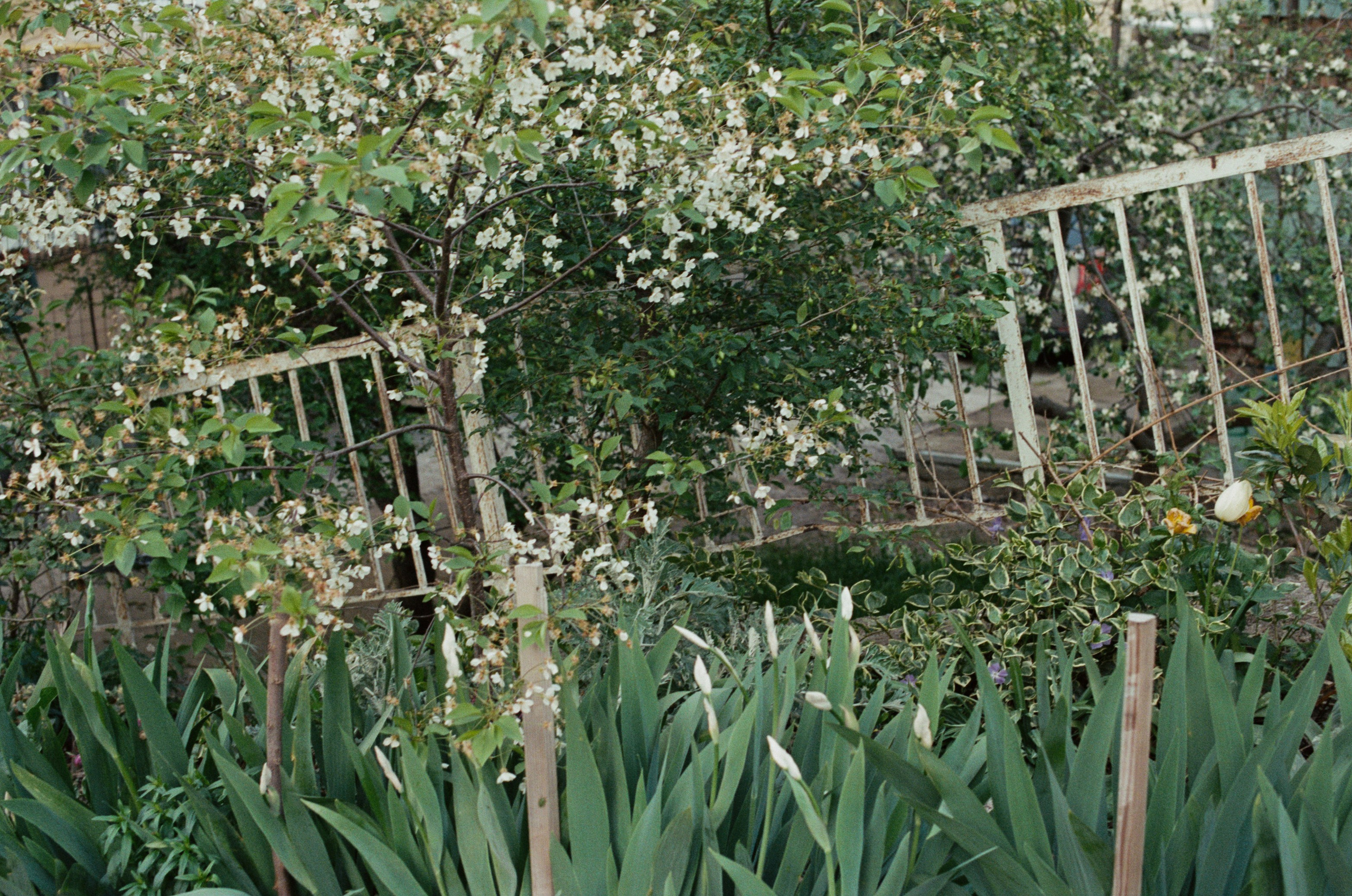 This time // ukraine, crimea II. EVER EXPOSED