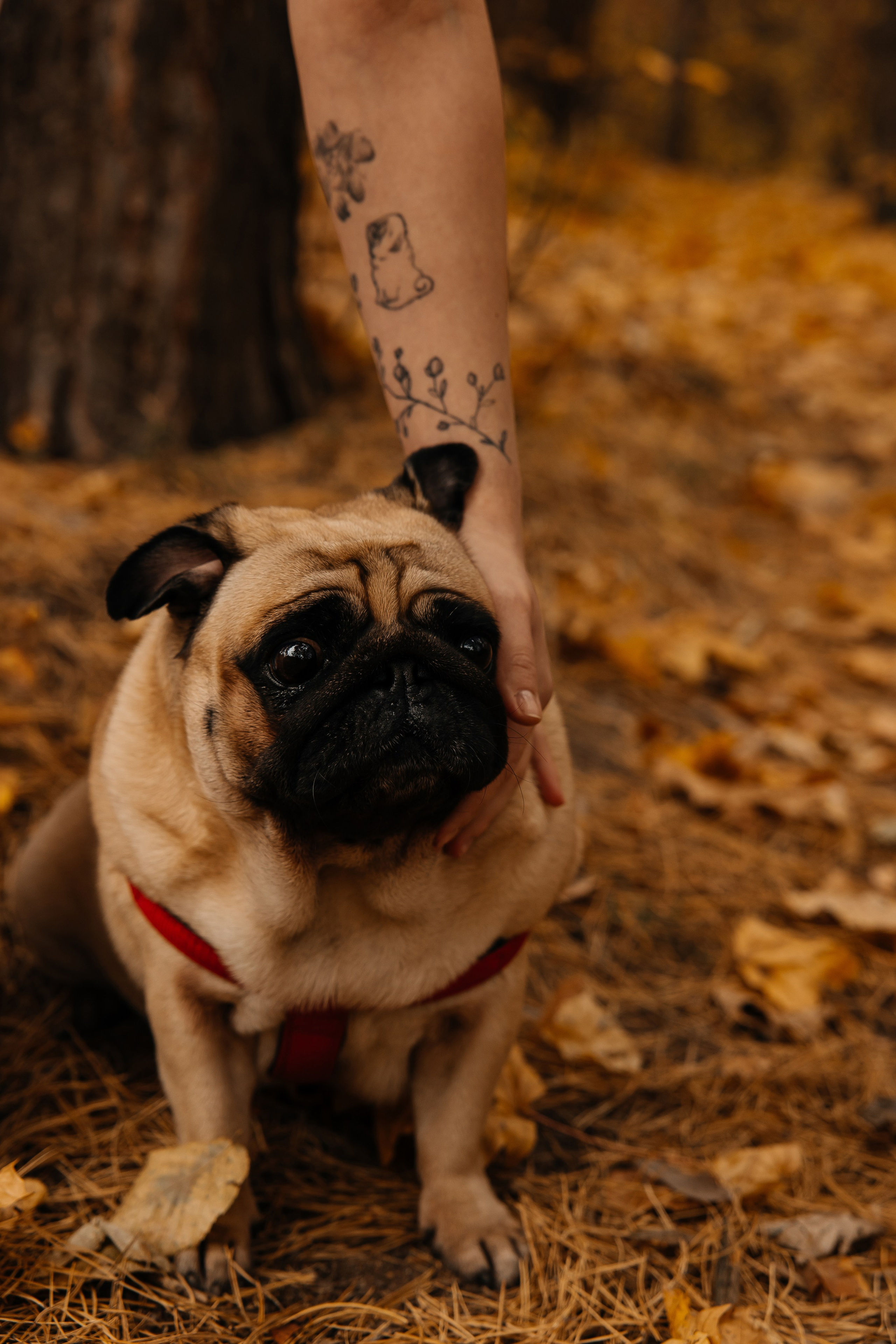 Илья и Анна. Фотограф Пенза Марина Арбузова |свадебный и семейный фотограф