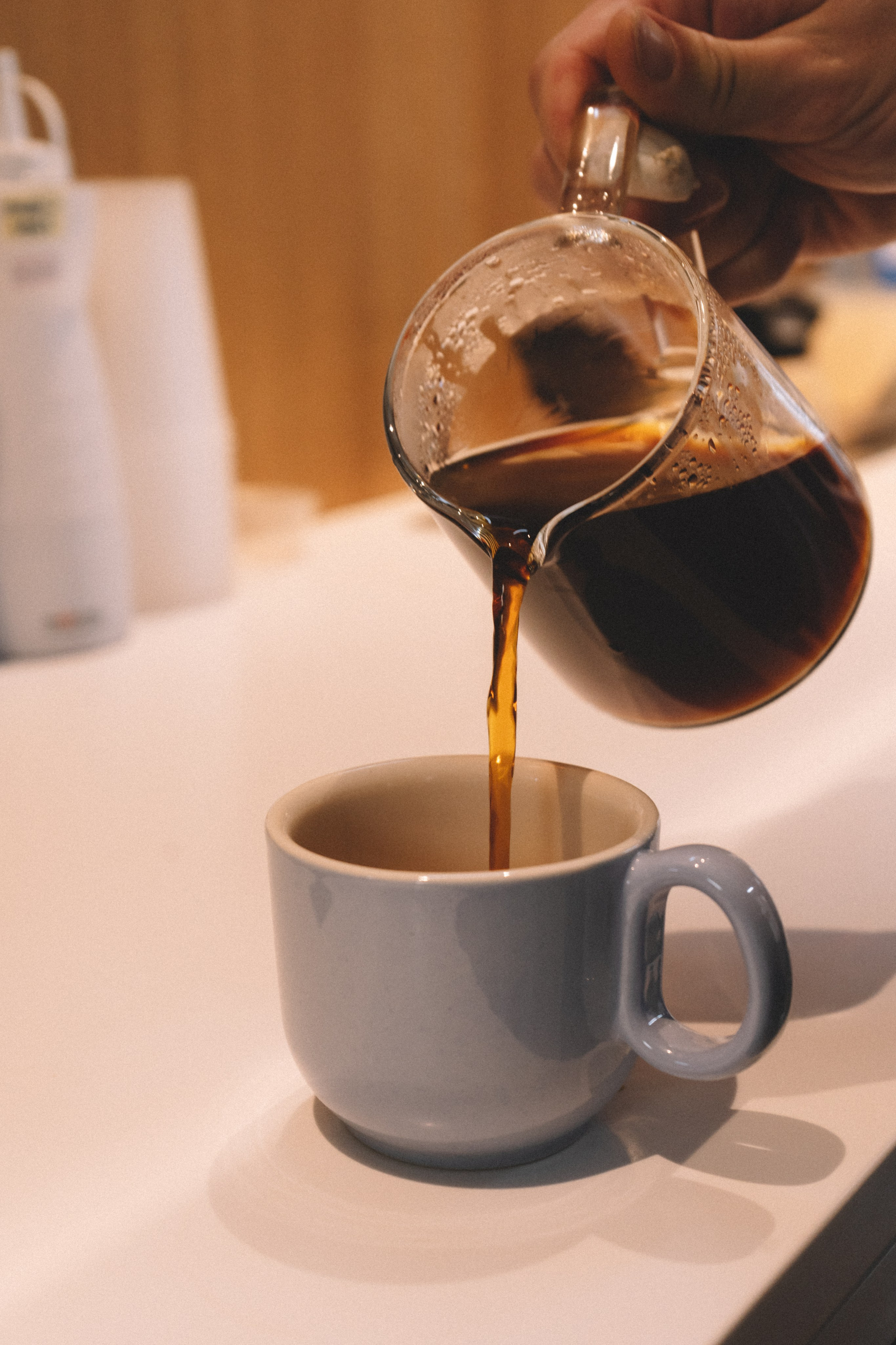 Yankee sierra. Анастасия Попова — Fashion photographer