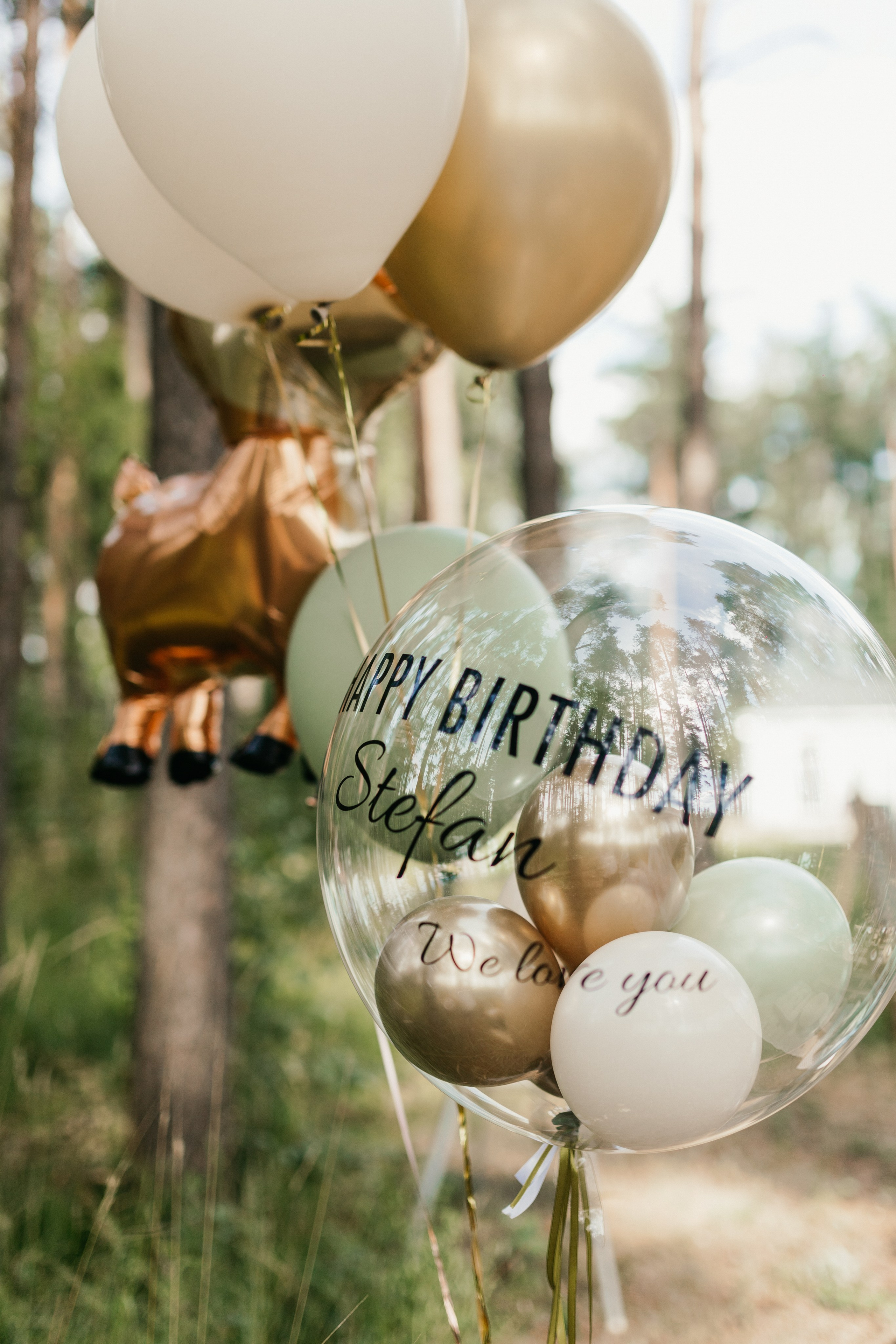 День рождения Стефана. Свадебный фотограф в Ярославле Алиса Курочкина