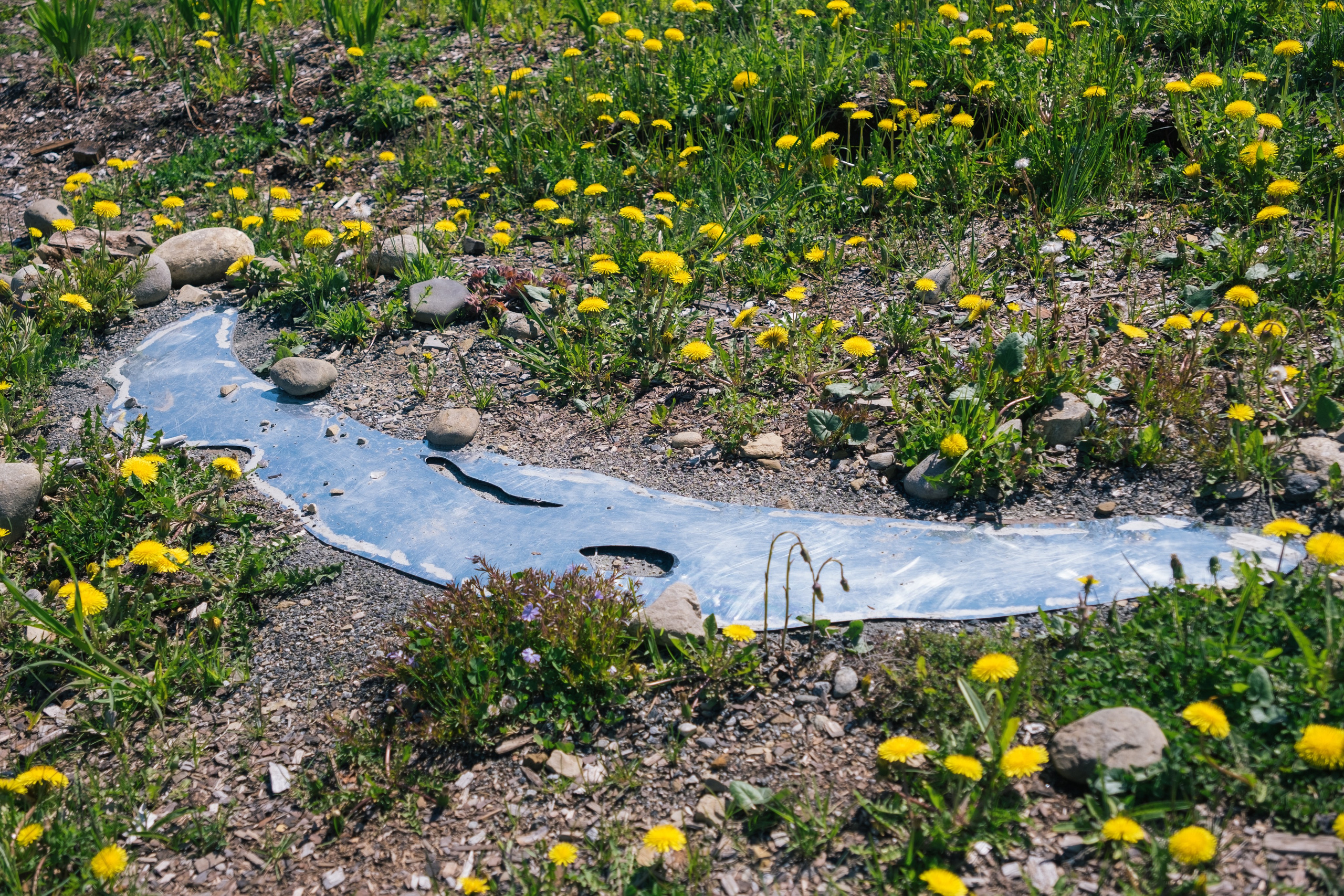 Экологический форум. Фотограф в Иркутске Анна Мирошникова