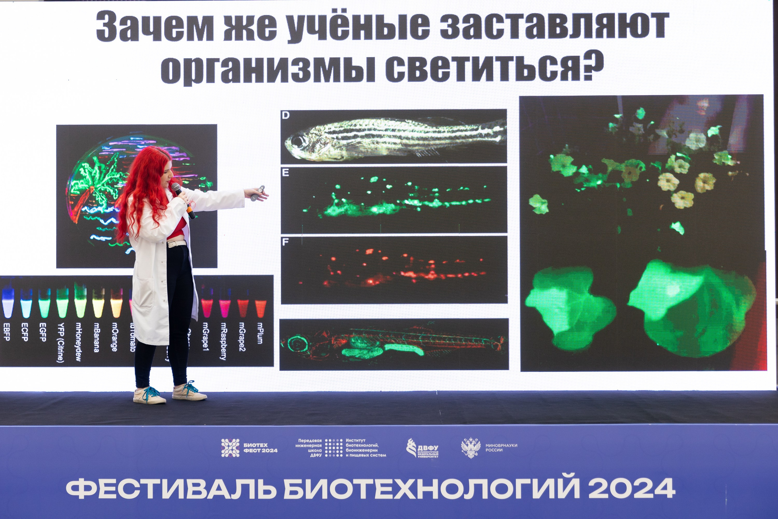 Биотехфест. Репортажный фотограф во Владивостоке