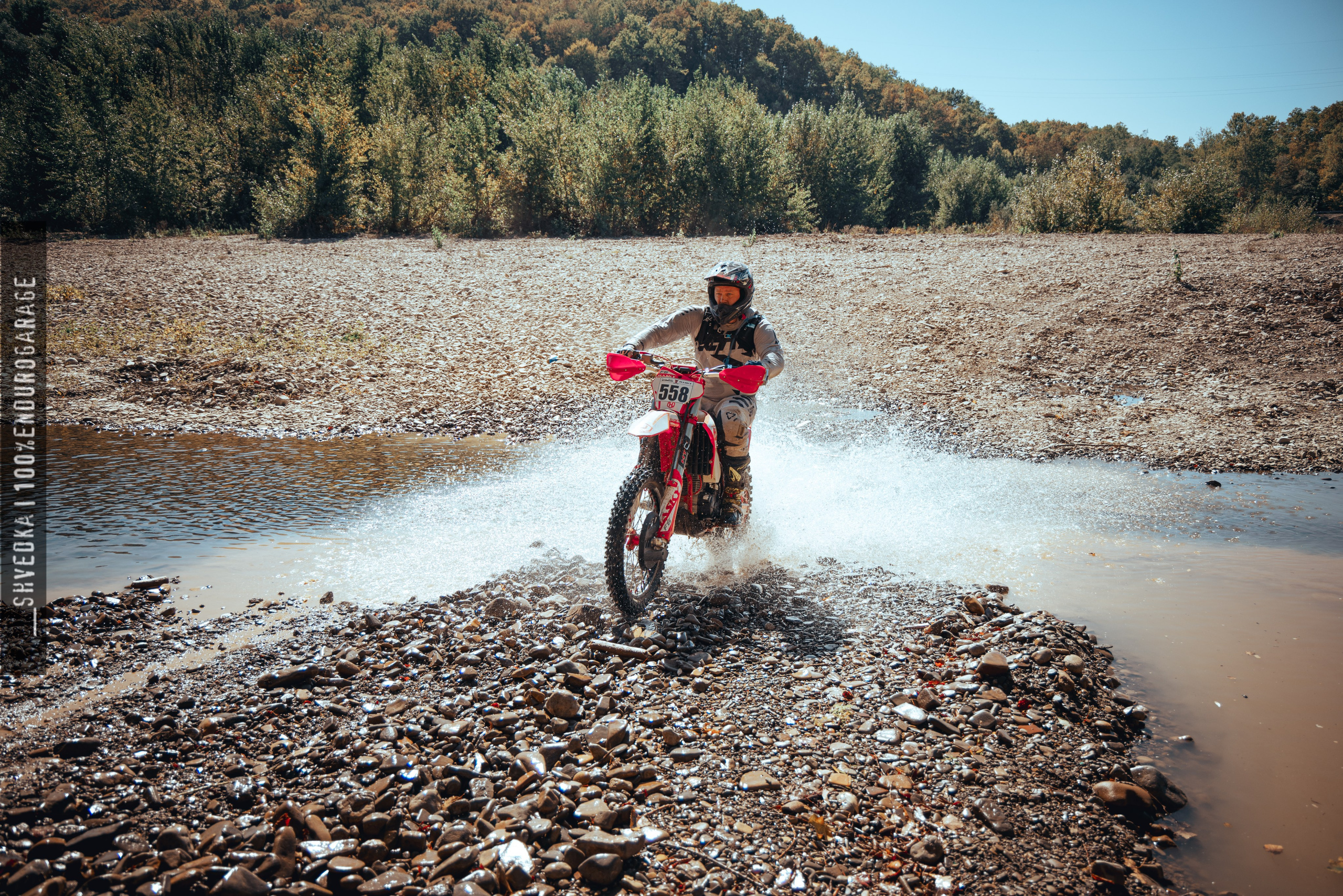 1 лесной день. Ваш экстрим фотограф Кудрева Яна