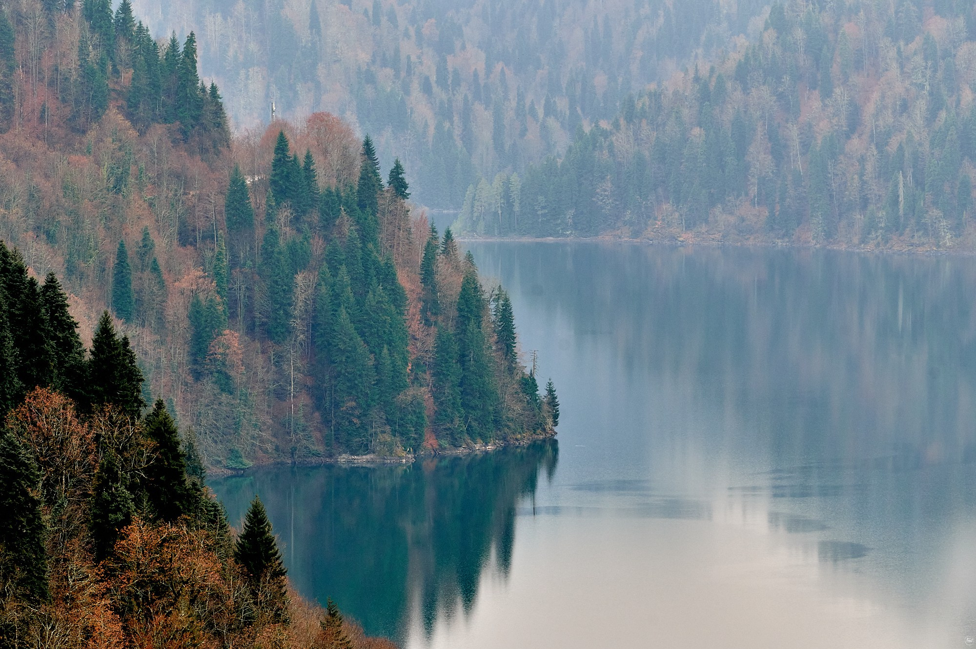 Озеро Рица, Абхазия. Декабрь 2024. Фотографии отовсюду и обо всем