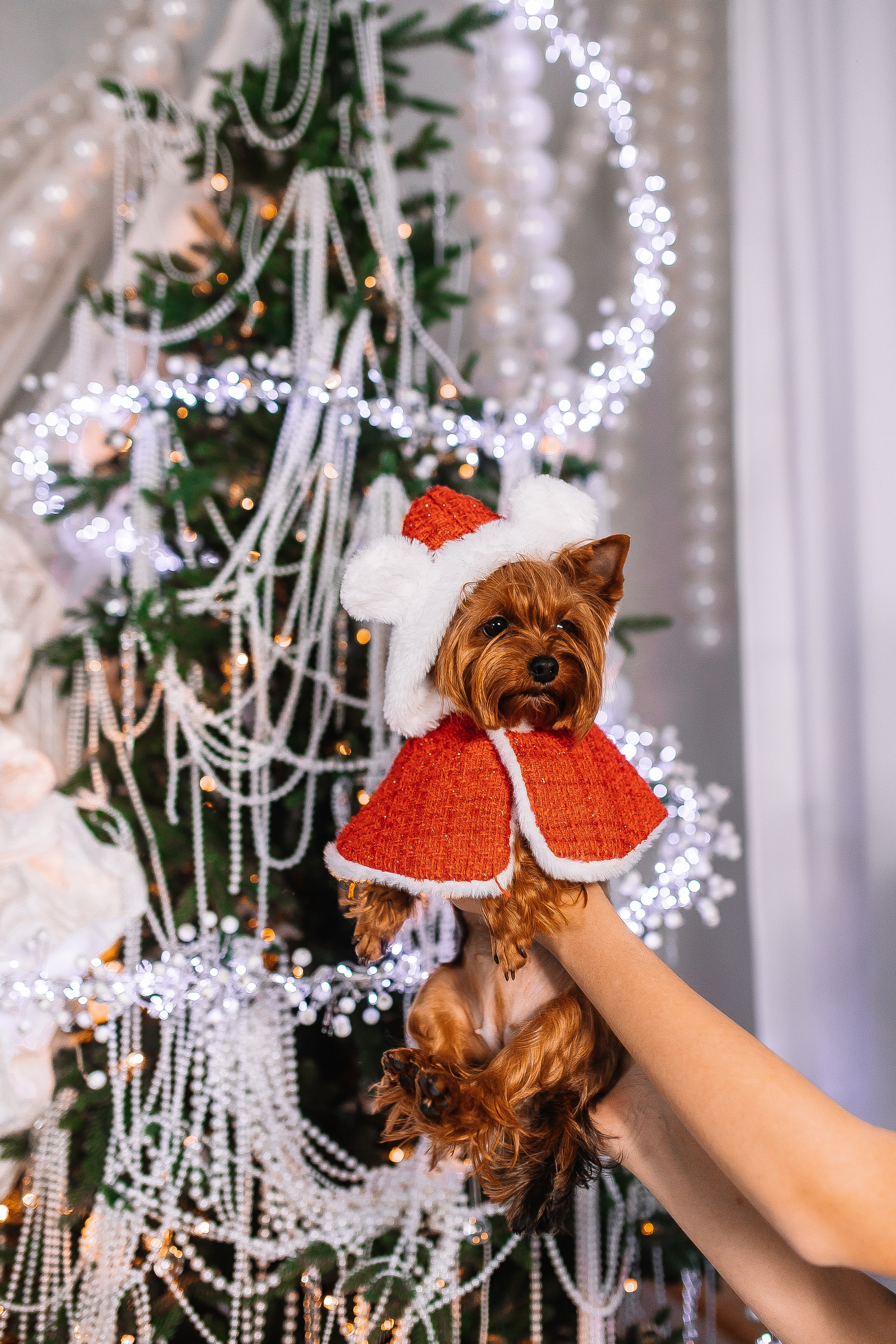 ВИКТОРИЯ. Свадебный и семейный фотограф в Курске и Курчатове