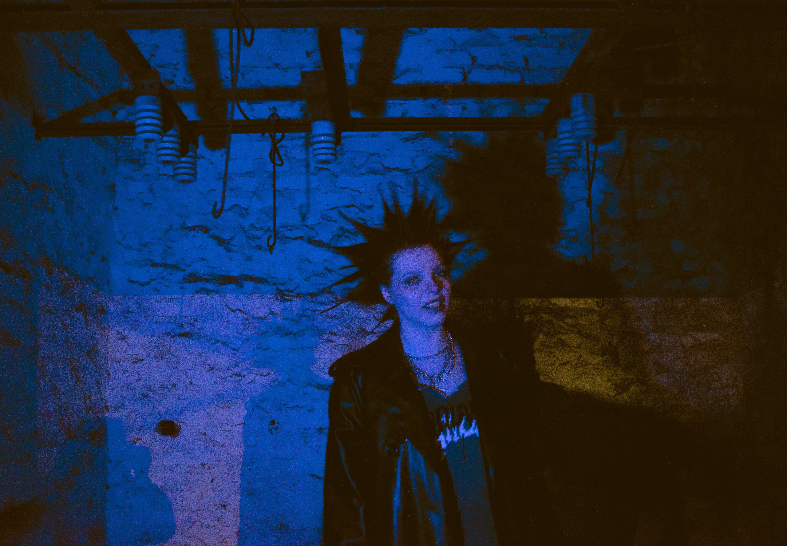 Гошок жив?. Костенко Анна pdie