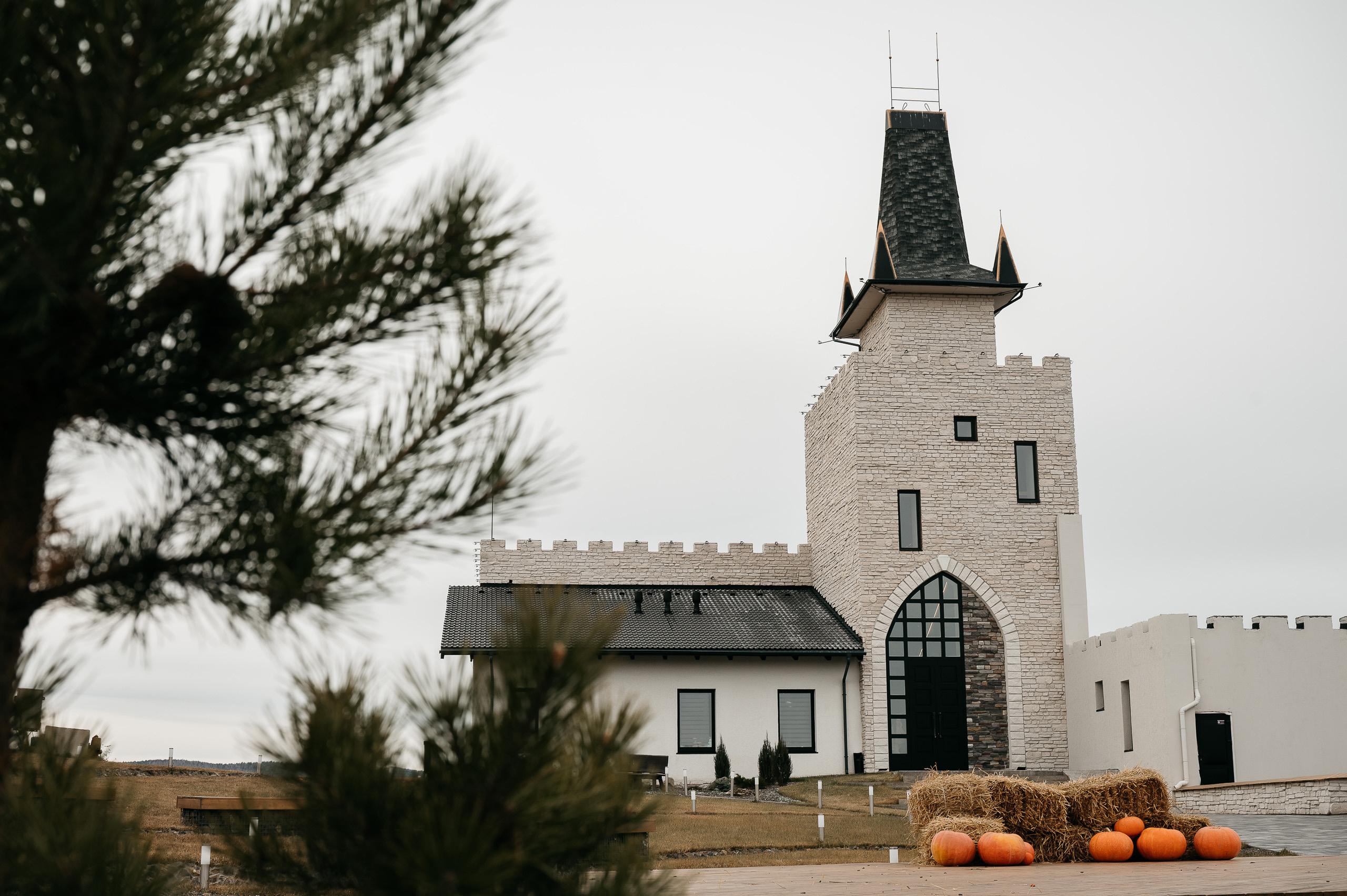 Полина @polinaozerova и Сергей @sergo_explos 🤵 📸 Фото @Mooleen.Aleksandr 🎀 Координация @Hello_weddy 💄 Визаж @dronova_anastasia ⛪️ Локация @chateau_blanc_shamoni 🎊 Декор и флористика @felico__decor👗 🎤 Ведущий @fedorov.show Кейтеринг @075please Свадебый торт @tortodel__24 Артист виртуоз @kostya_balaiskih