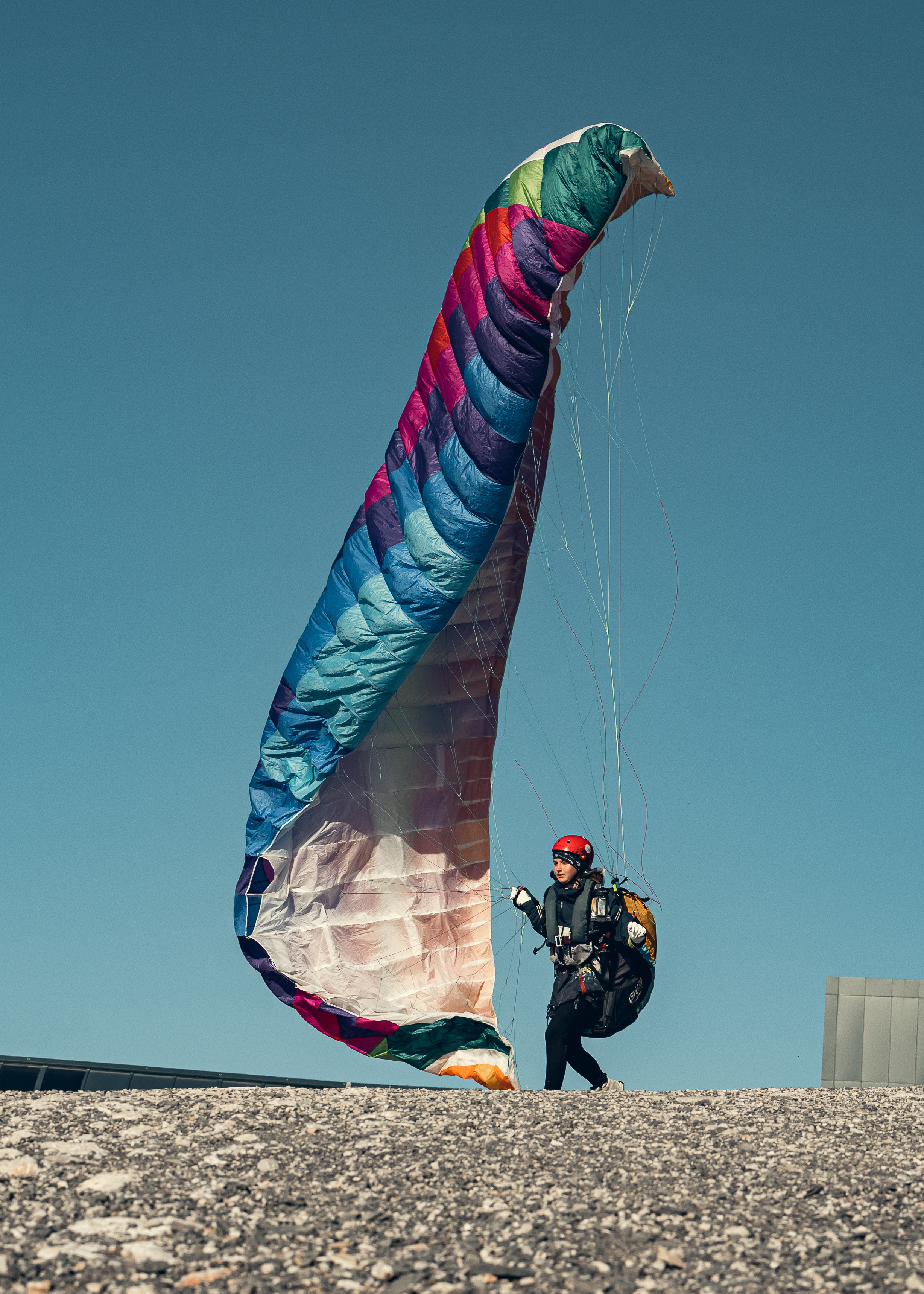 Action. Если ты на Земле — звони