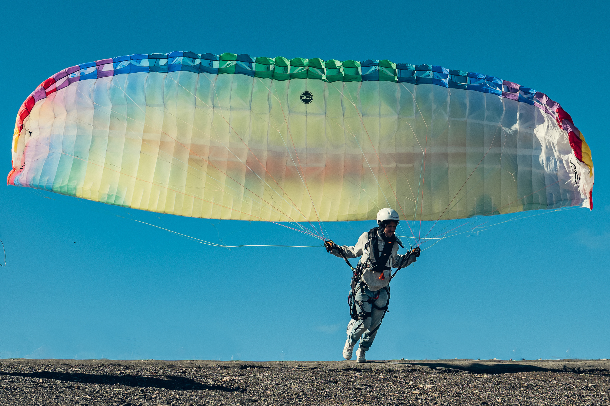 Action. Если ты на Земле — звони