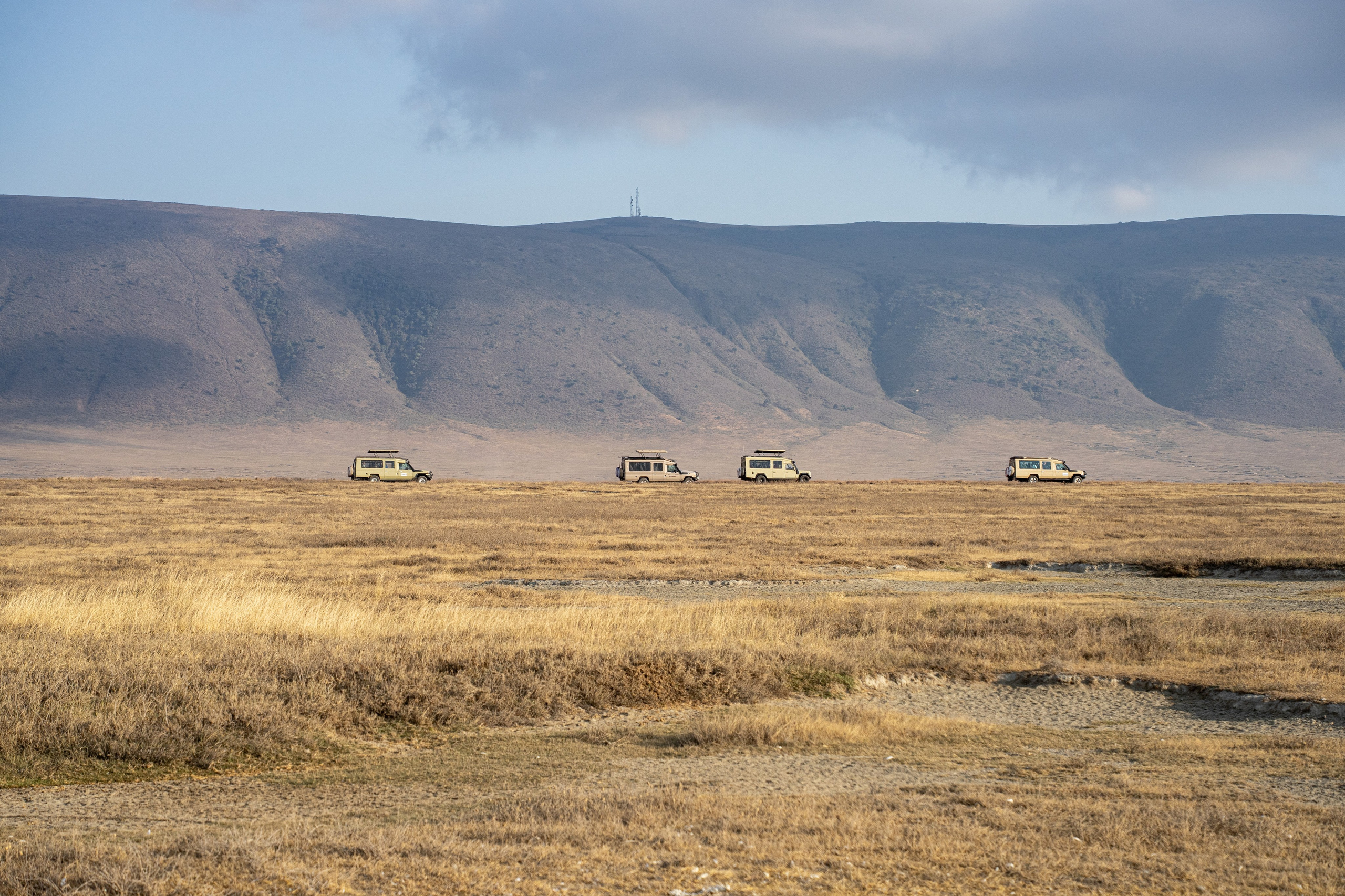 Танзания, сафари, 2025. Творческие сьемки
