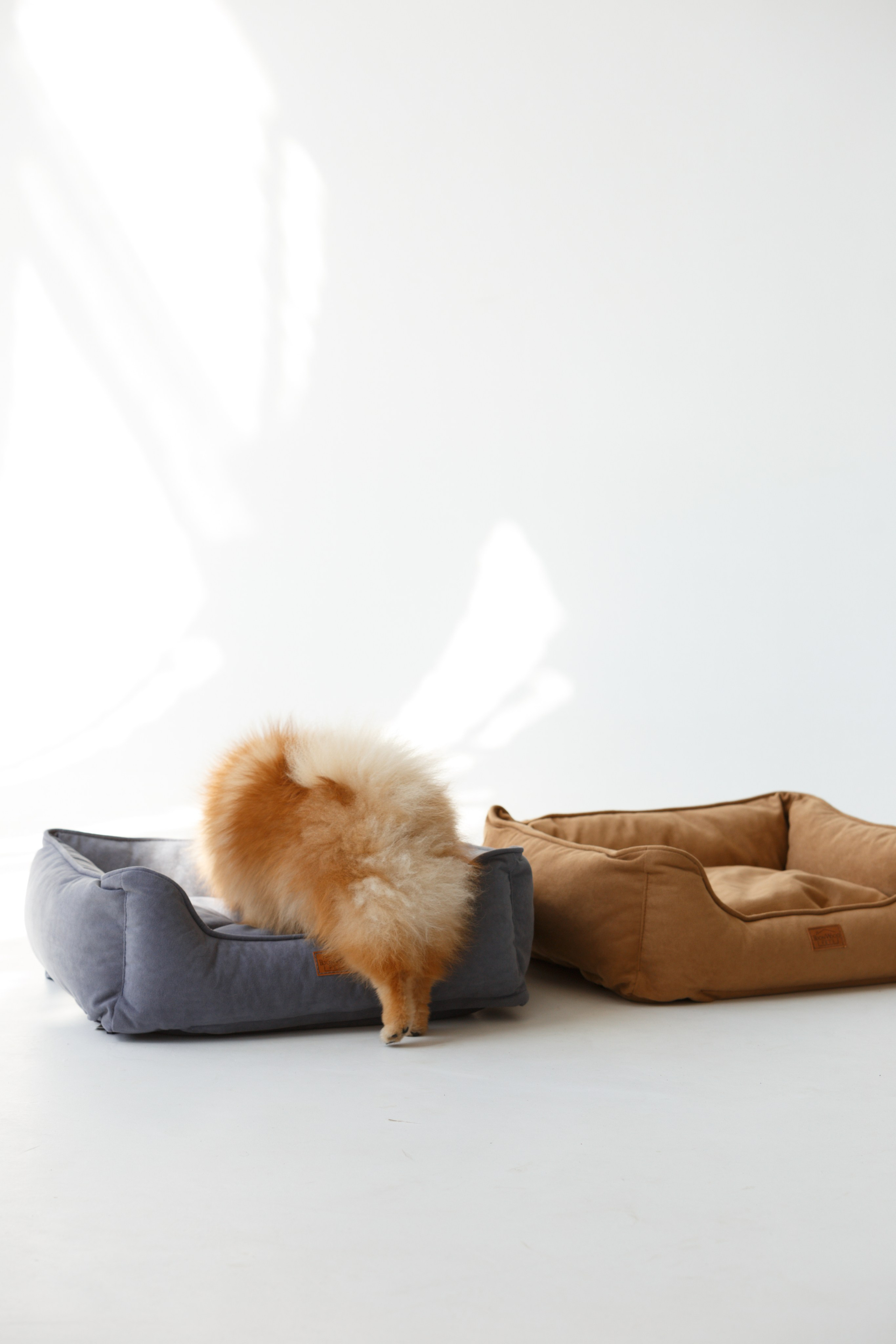 Boonwood Pets лежанки для животных. Фотограф анималист Кристина Карпова, Москва