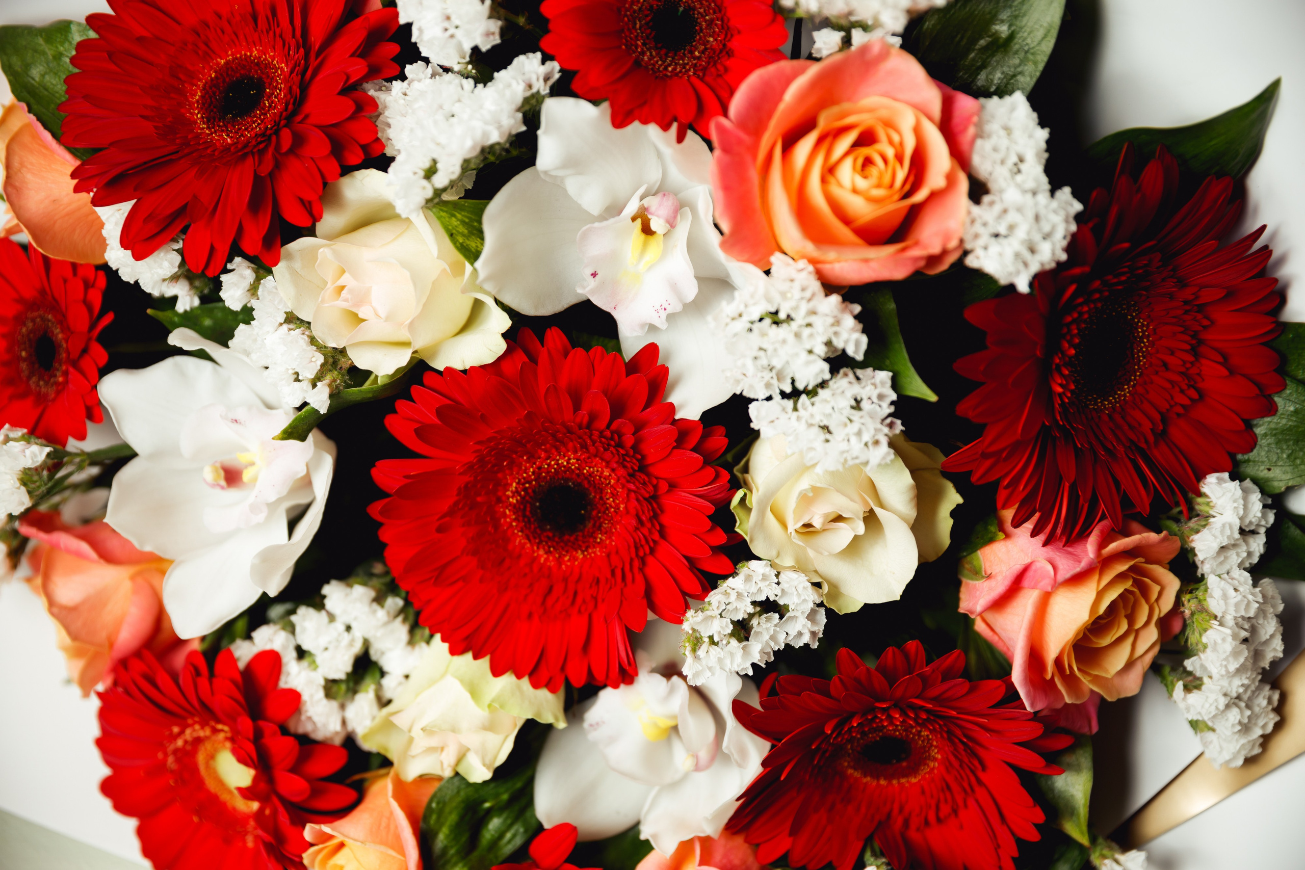 13. Фотограф Недорез Александр в Москве. Репортаж на ваших мероприятиях