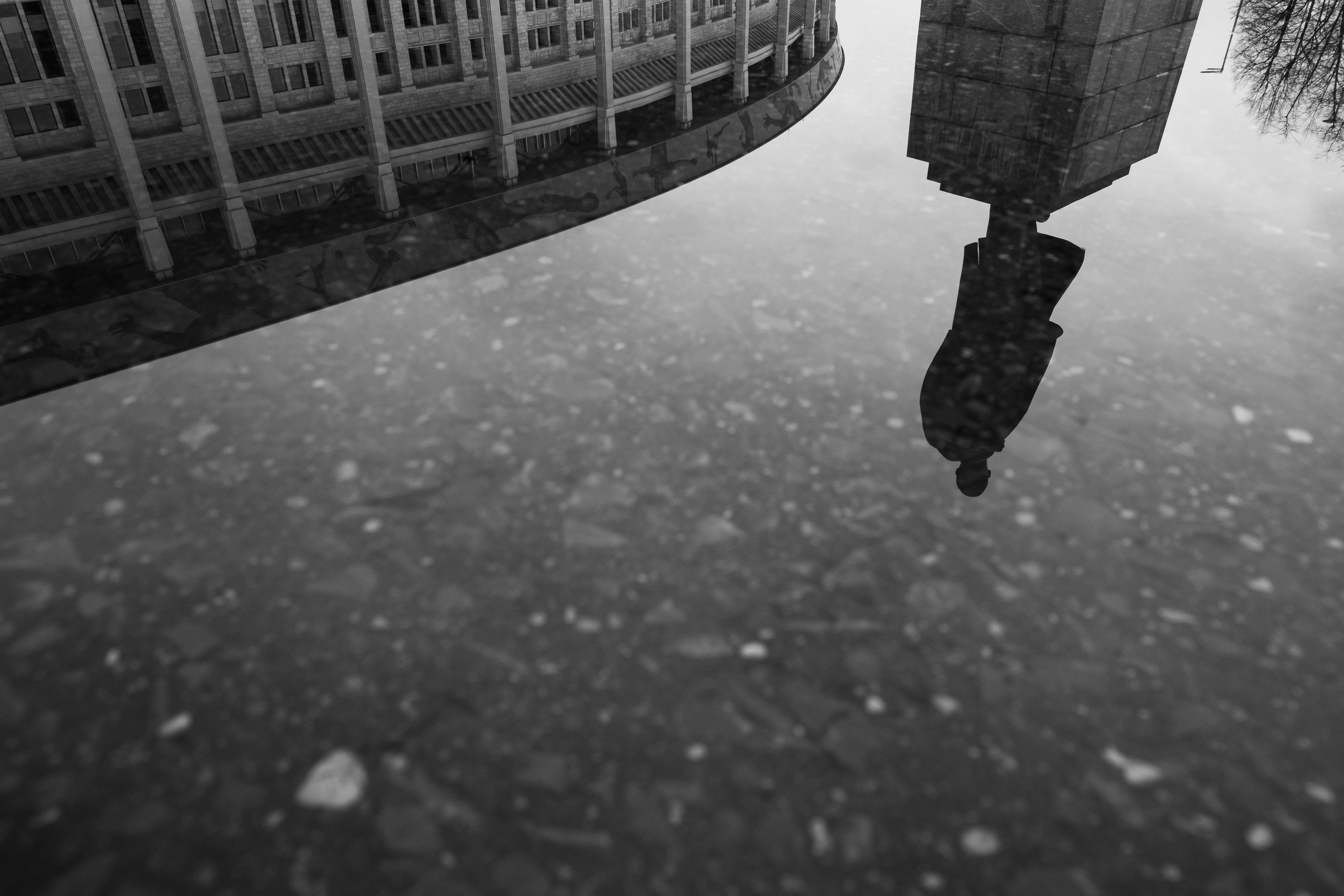 Лужники. Портретный и архитектурный фотограф в Москве и Санкт-Петербурге