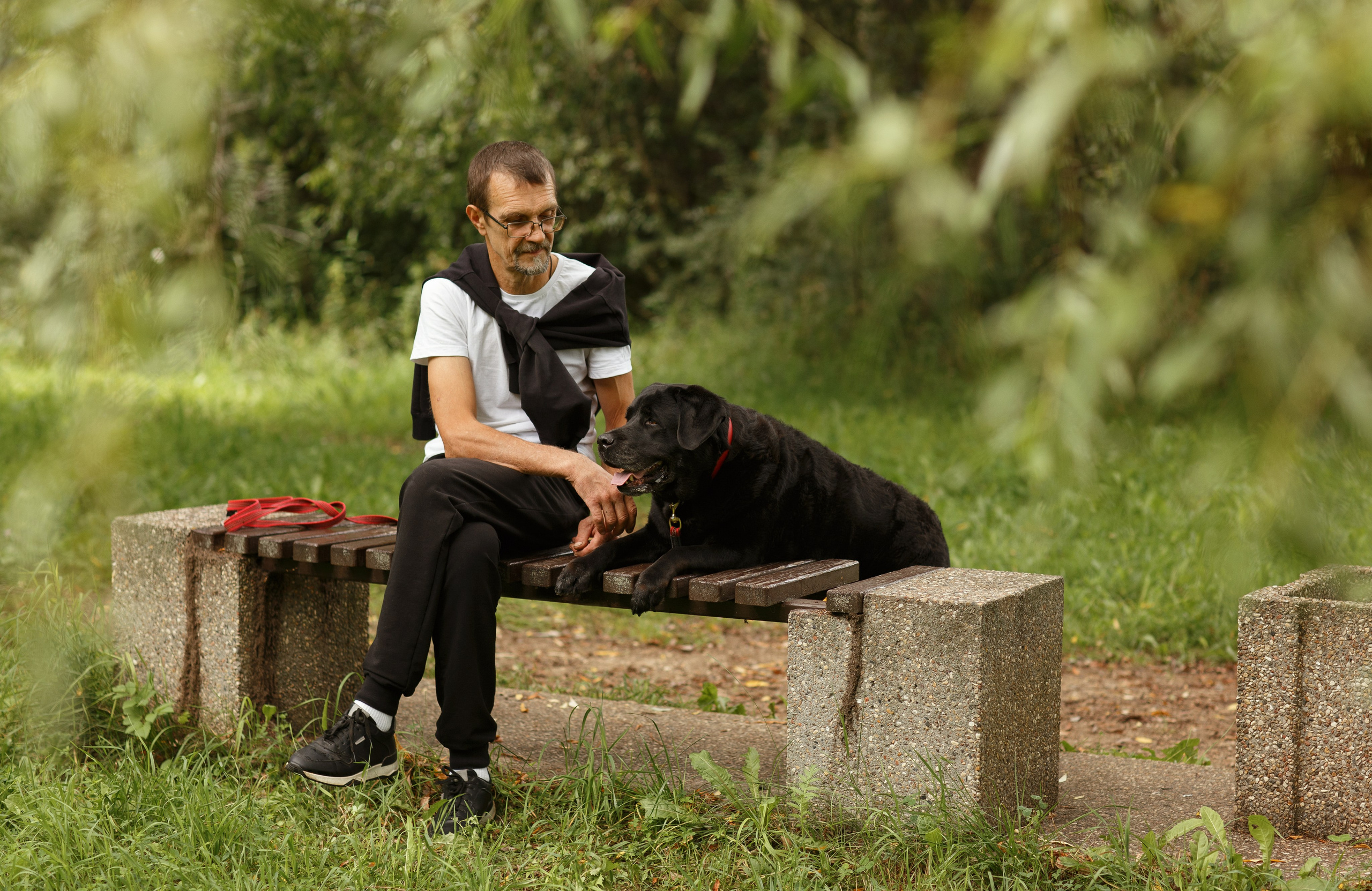 Александр и Мона. Фотограф — Анималист Наталья Тямушева