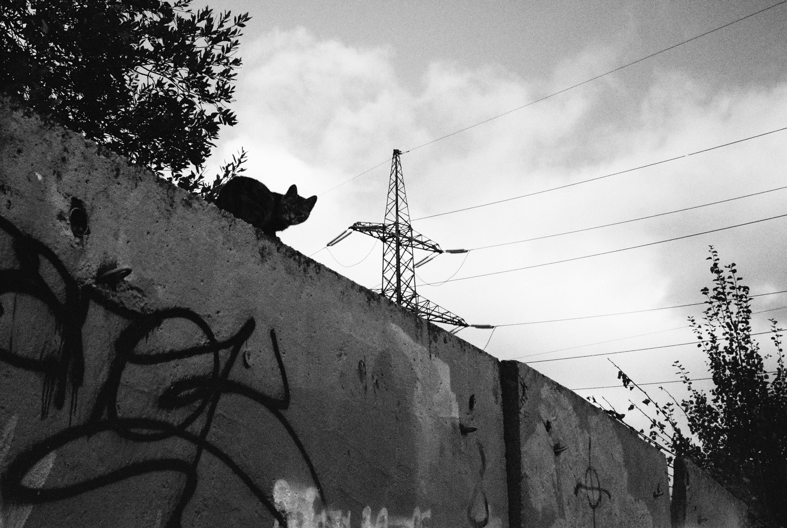 Фотографии цветные. Свадебный и семейный пленочный фотограф в Петербурге Истомина Ирина