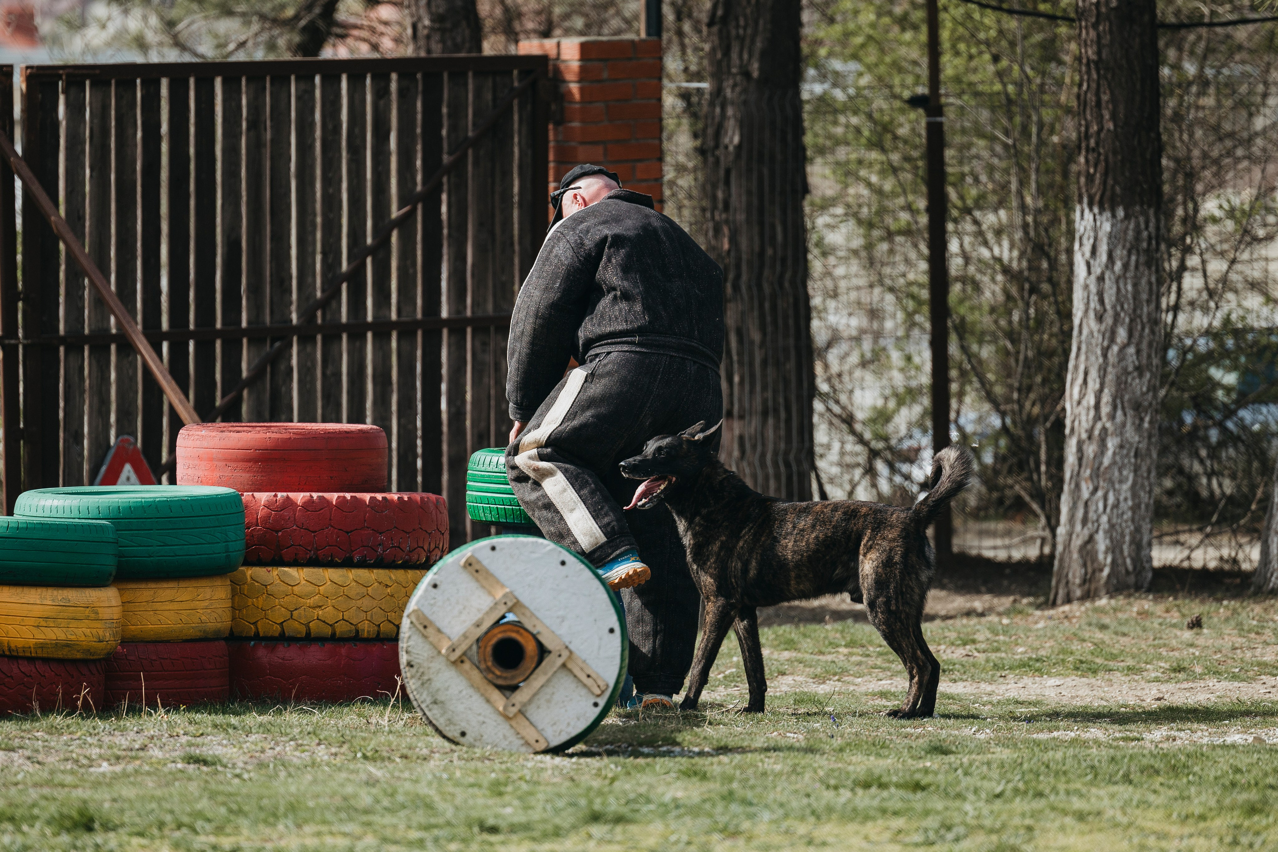 Геленджик Мондьоринг. Фотограф-анималист Анна Маринич