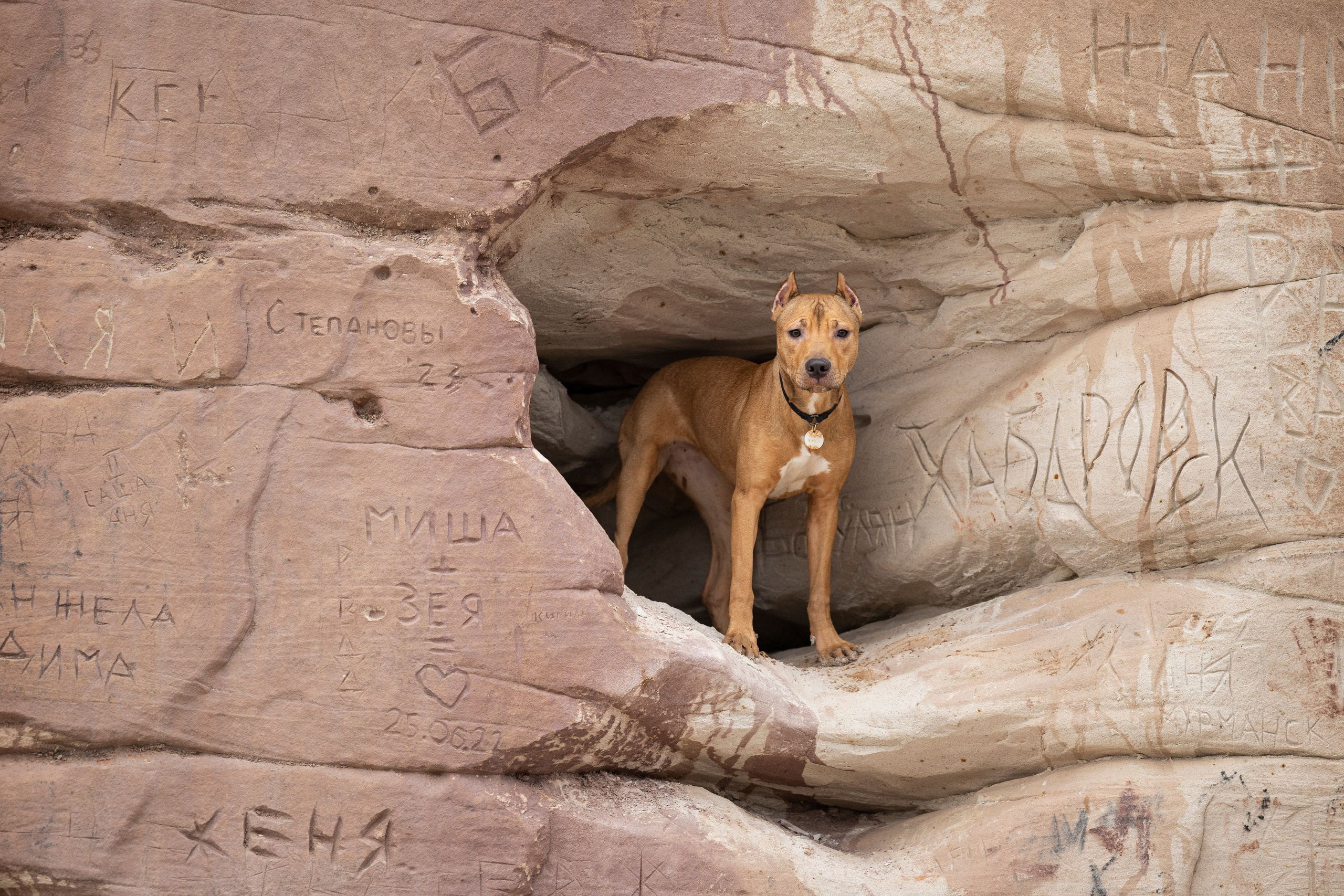 Лужские Мальдивы. Фотограф-анималист Анна Маринич