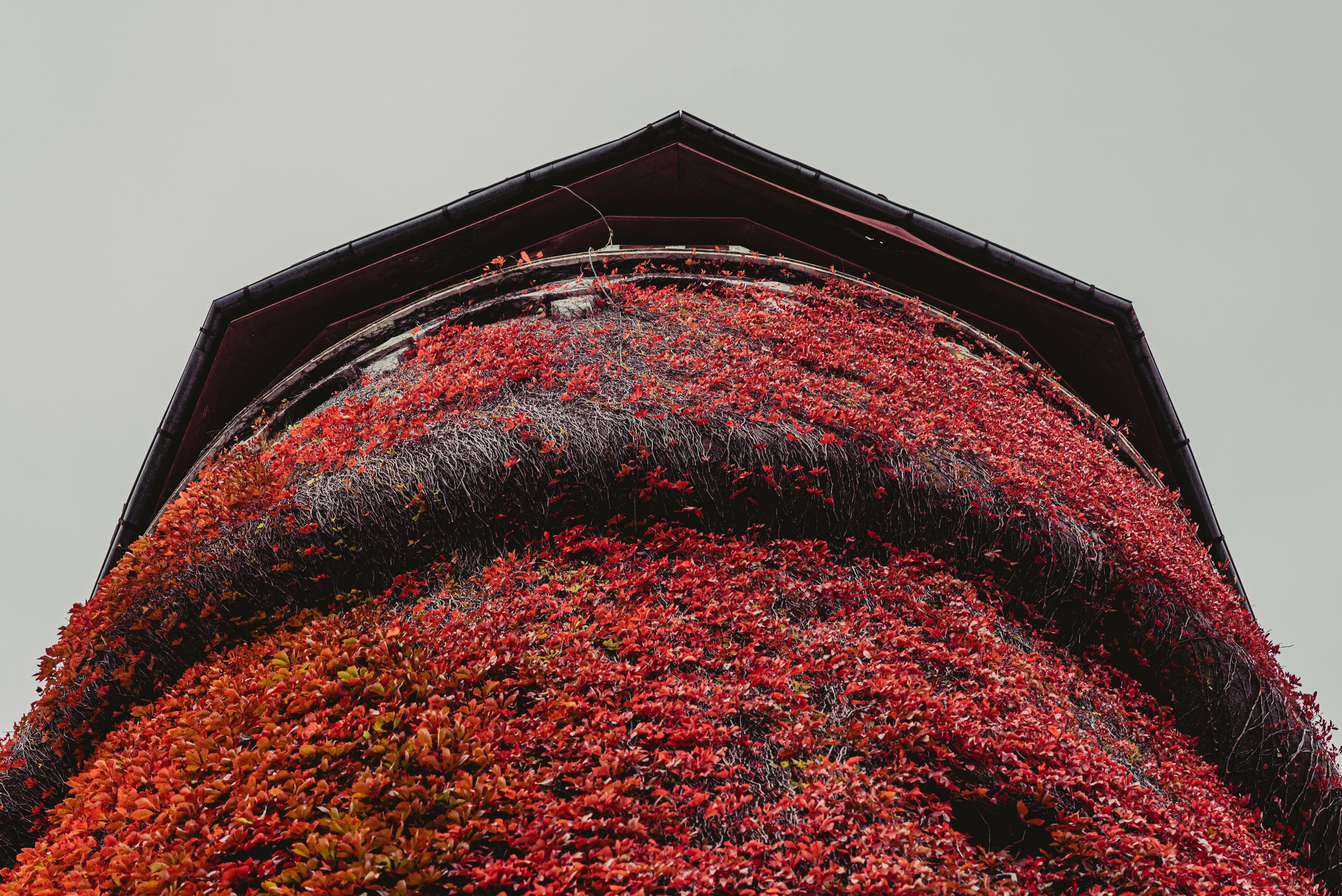 Калининград и его область: через объектив рекламного фотографа из Гуанчжо. Коммерческий и предметный фотограф в Гуанчжоу Коваленко Александр