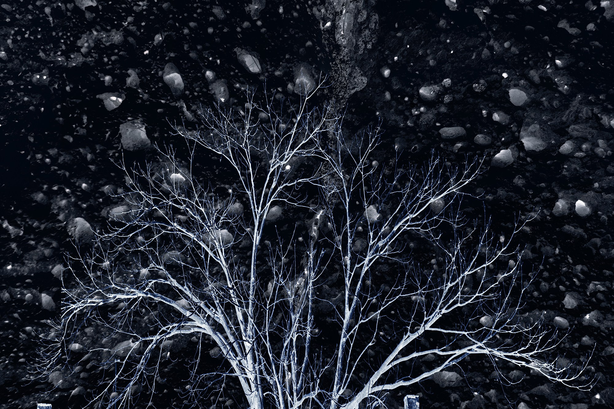 Проект «Стражи времени"/project «Gurdians of time». SHELESTOV