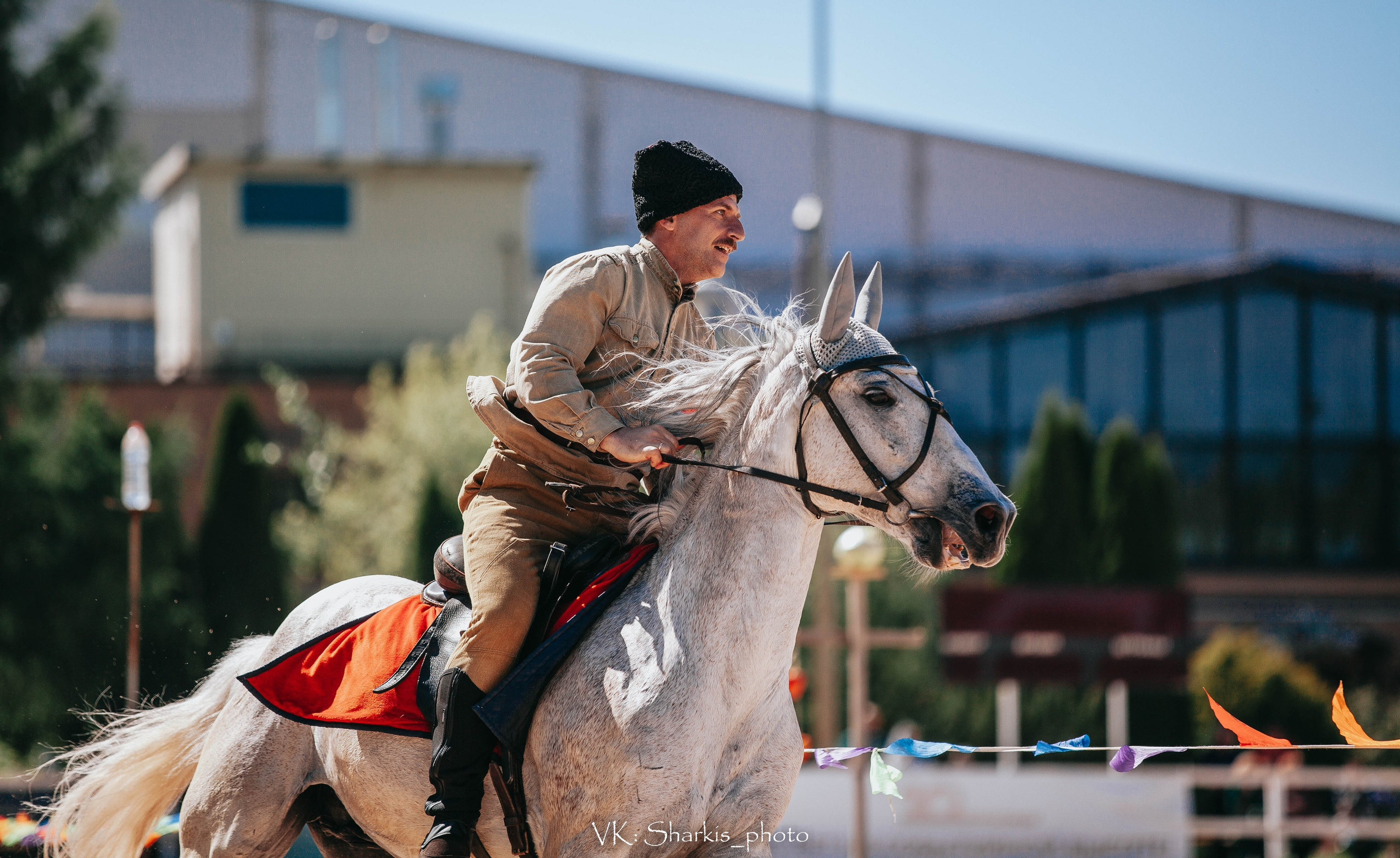 Лошади. Главная